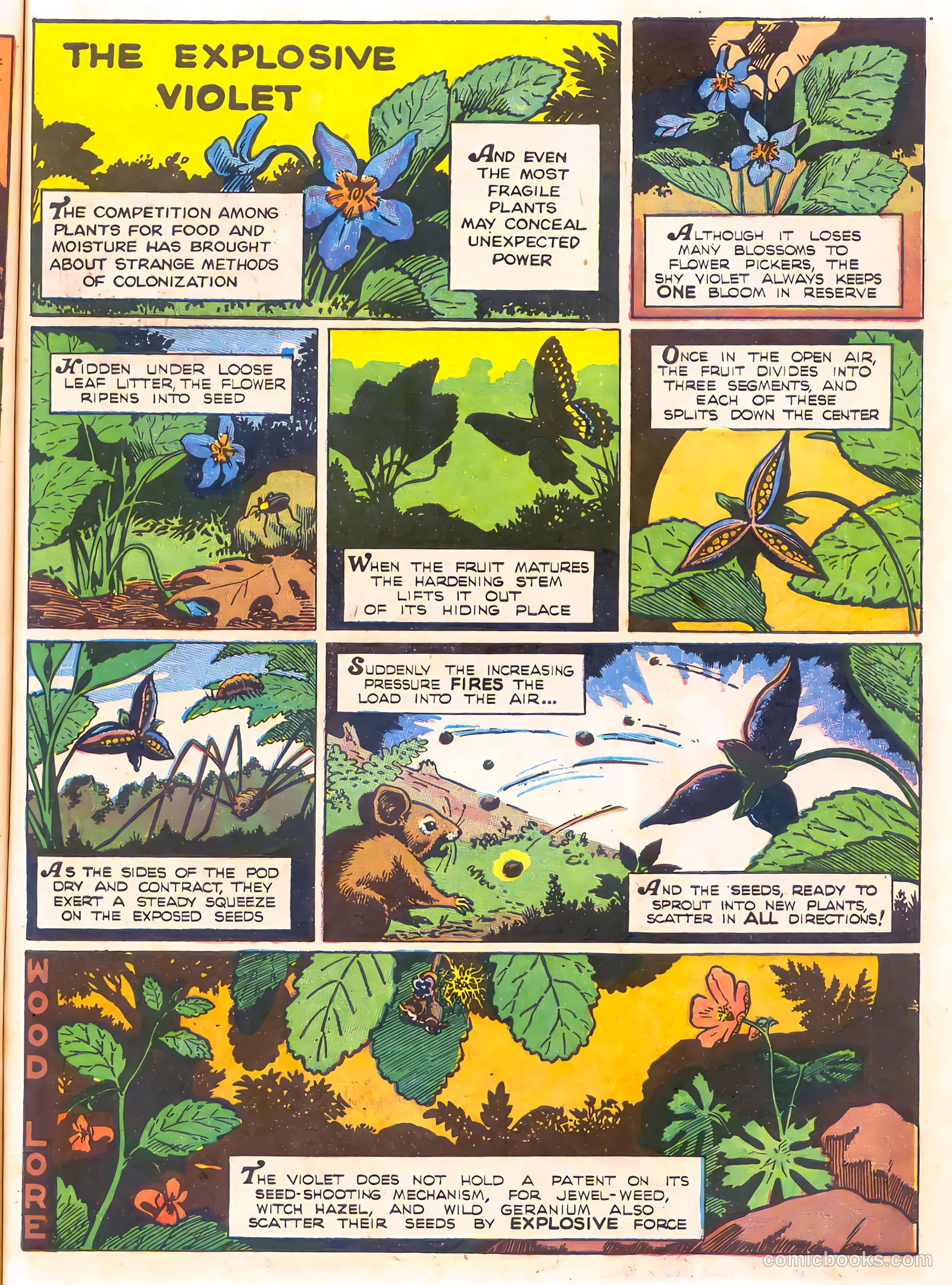 Mark Trail's Adventure Book of Nature #1 — page 63 of 84