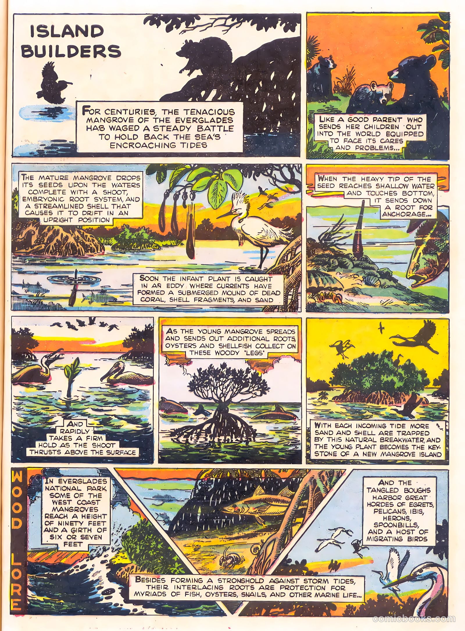 Mark Trail's Adventure Book of Nature #1 — page 65 of 84