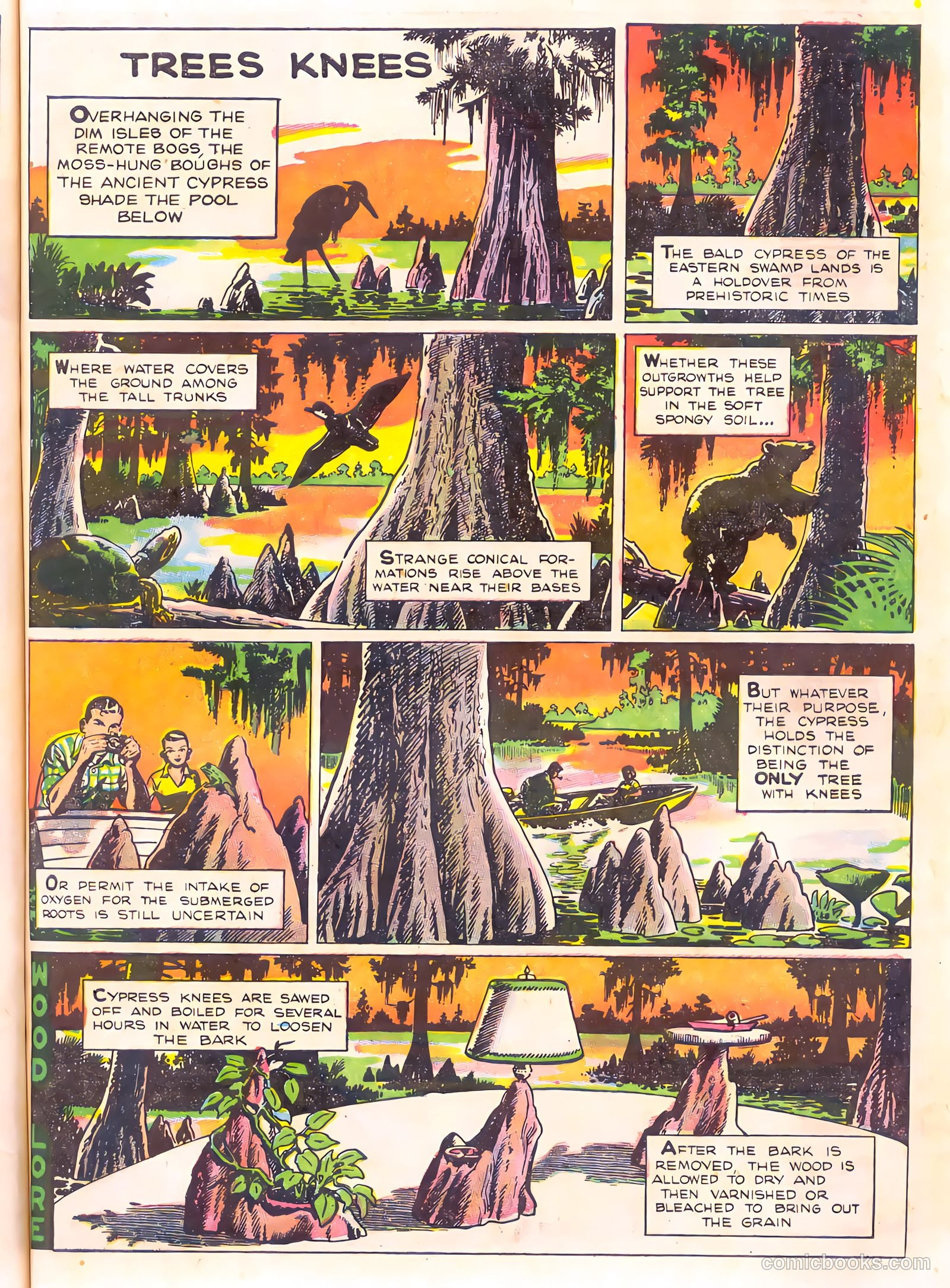 Mark Trail's Adventure Book of Nature #1 — page 67 of 84