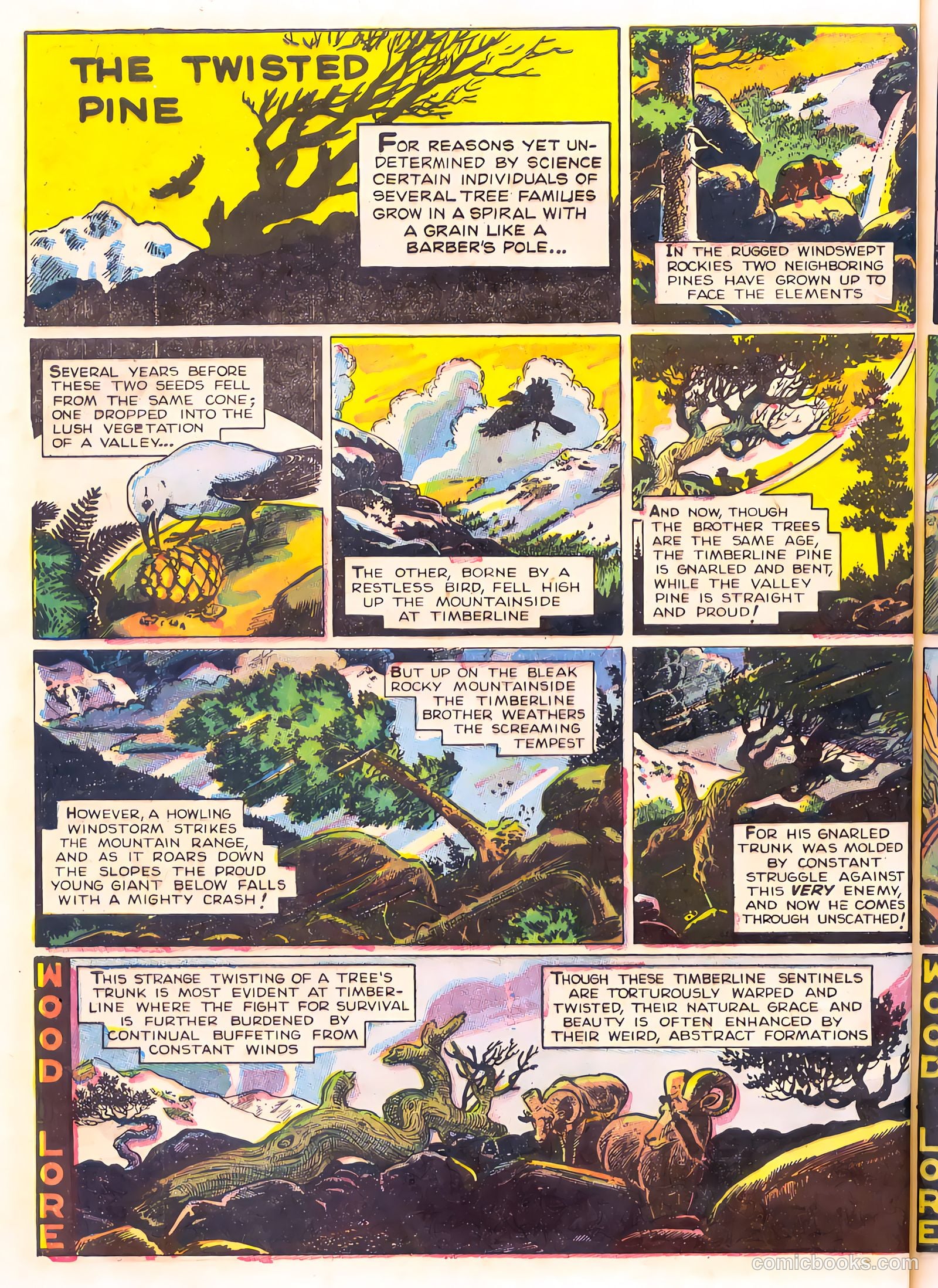 Mark Trail's Adventure Book of Nature #1 — page 68 of 84