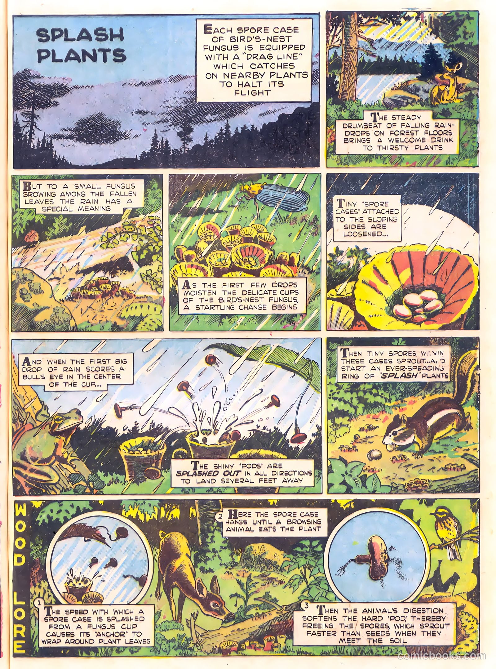 Mark Trail's Adventure Book of Nature #1 — page 69 of 84