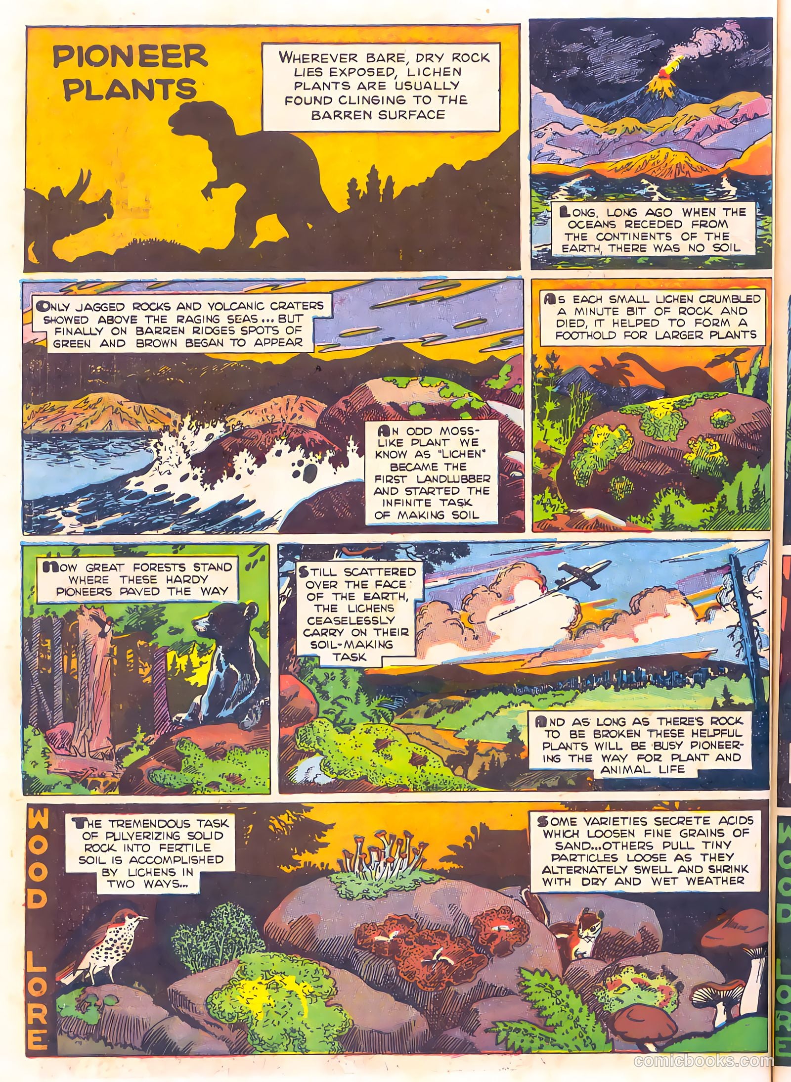 Mark Trail's Adventure Book of Nature #1 — page 70 of 84