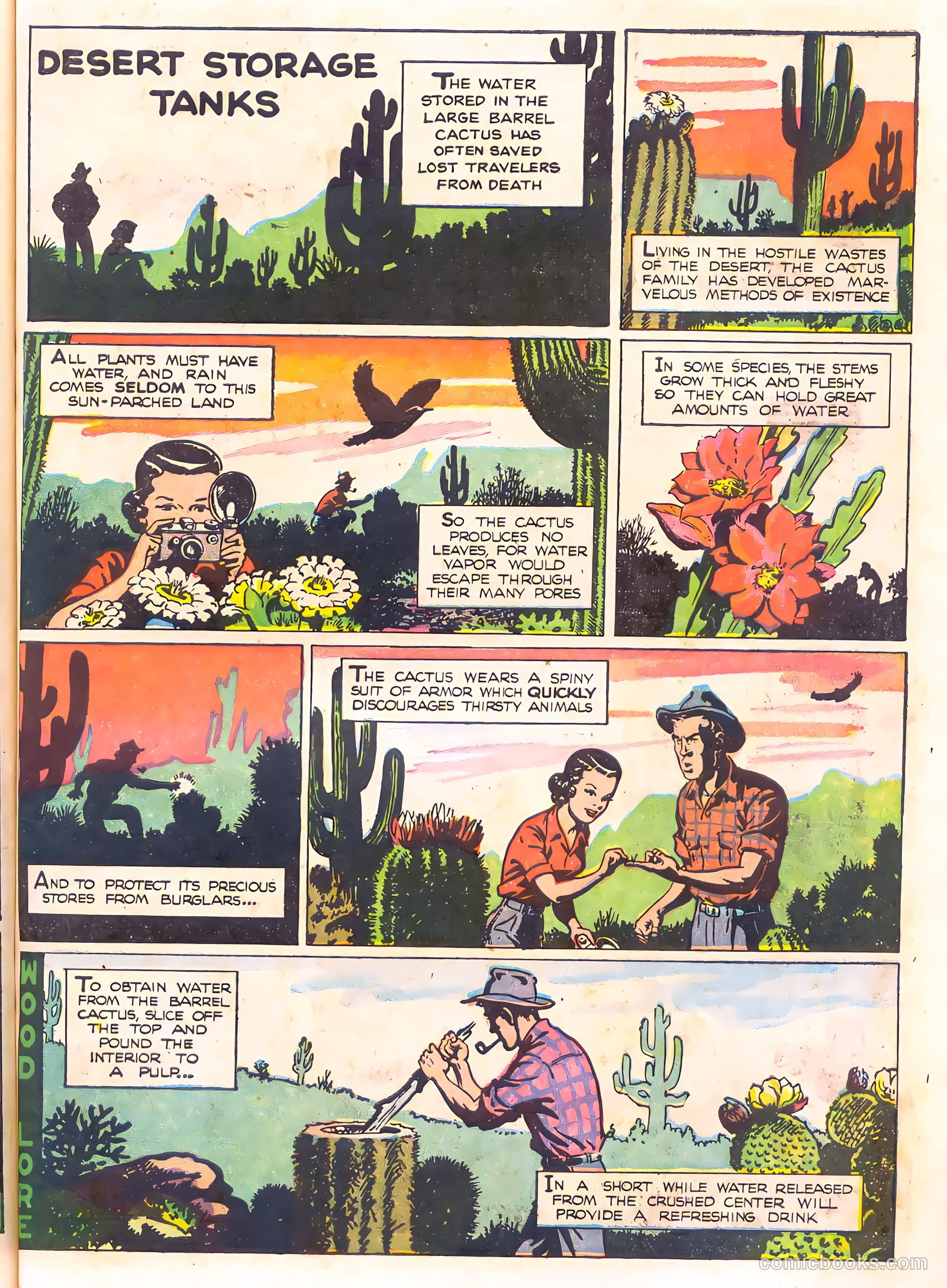 Mark Trail's Adventure Book of Nature #1 — page 71 of 84