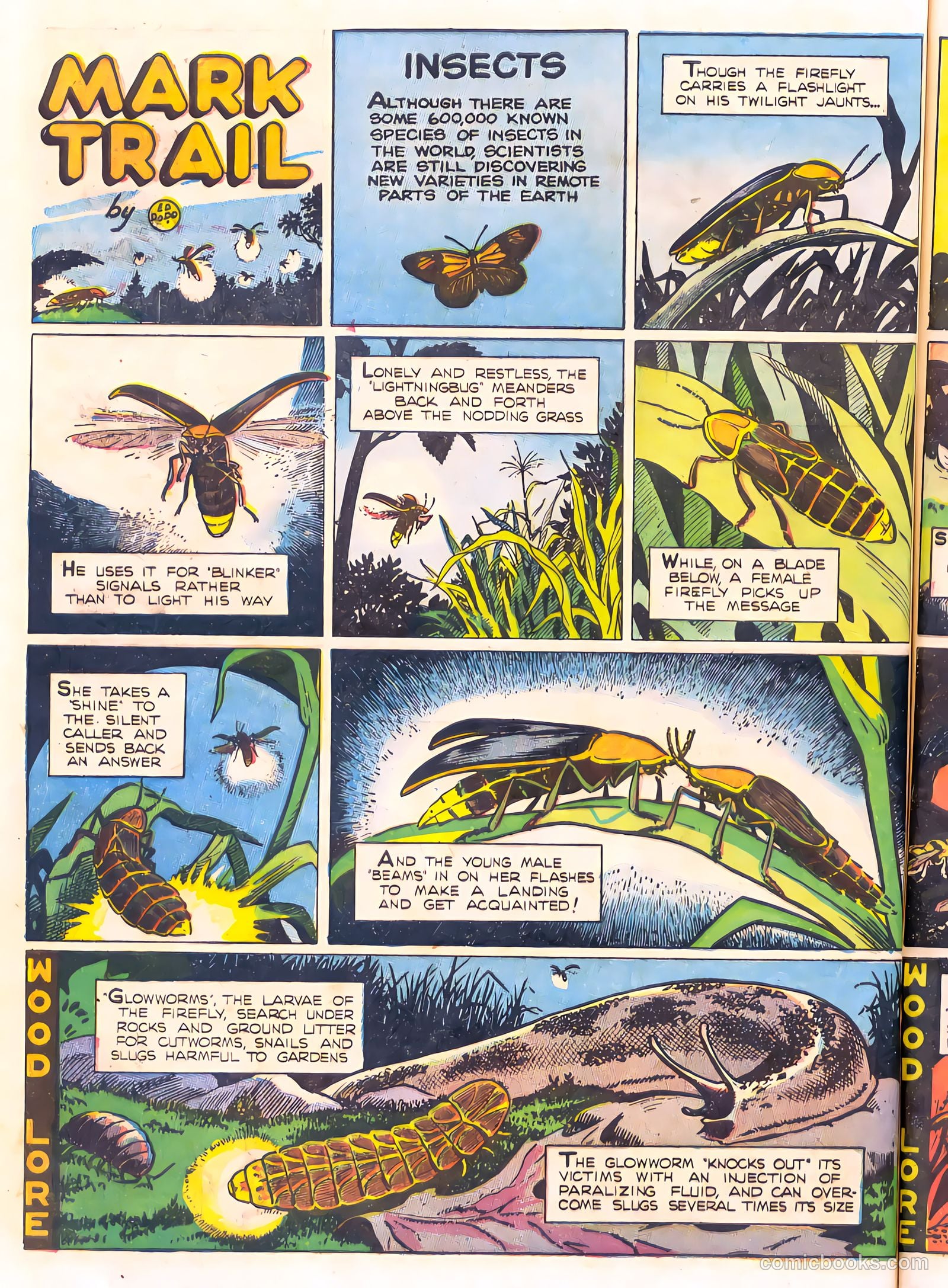 Mark Trail's Adventure Book of Nature #1 — page 72 of 84