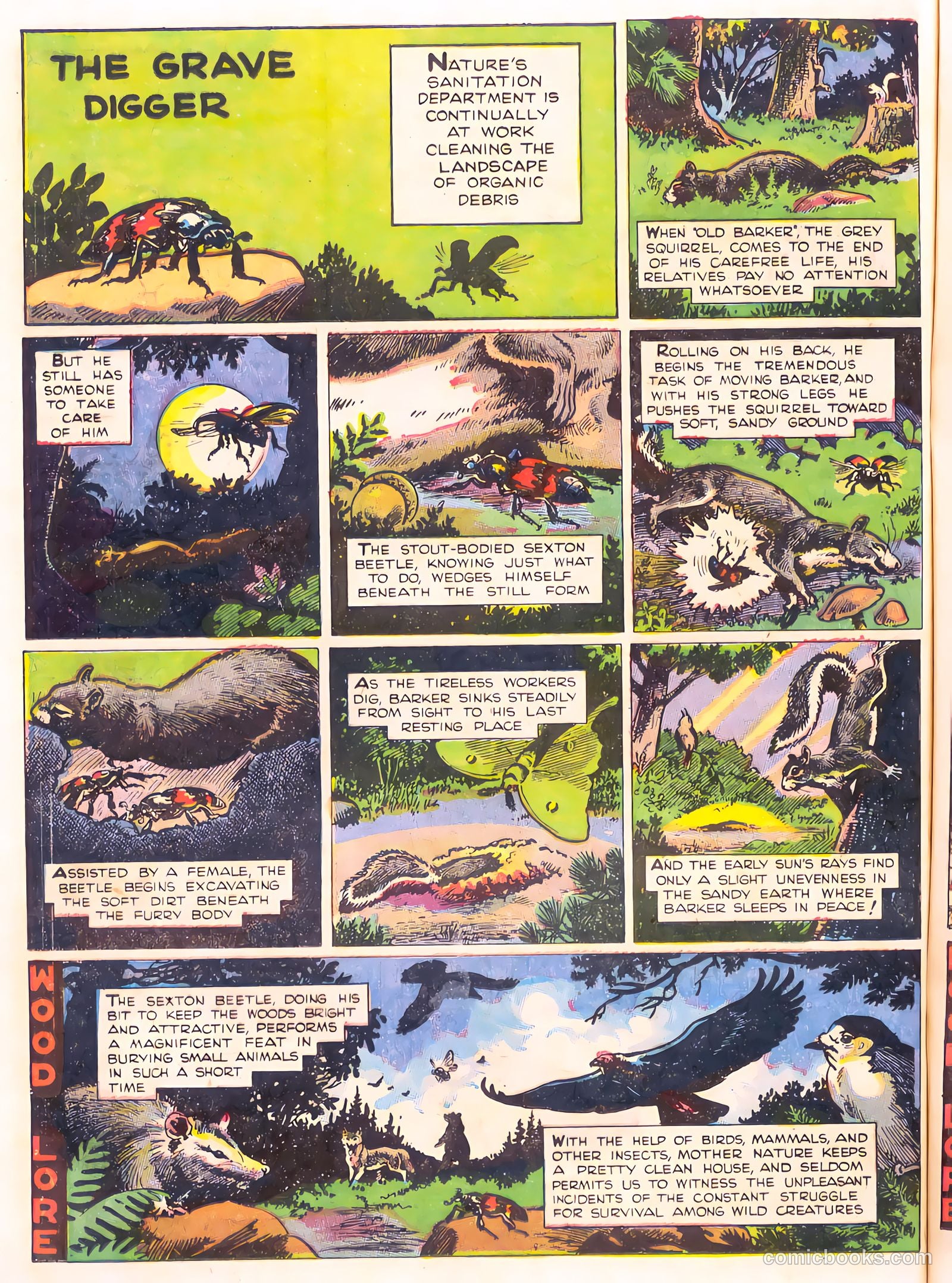 Mark Trail's Adventure Book of Nature #1 — page 76 of 84
