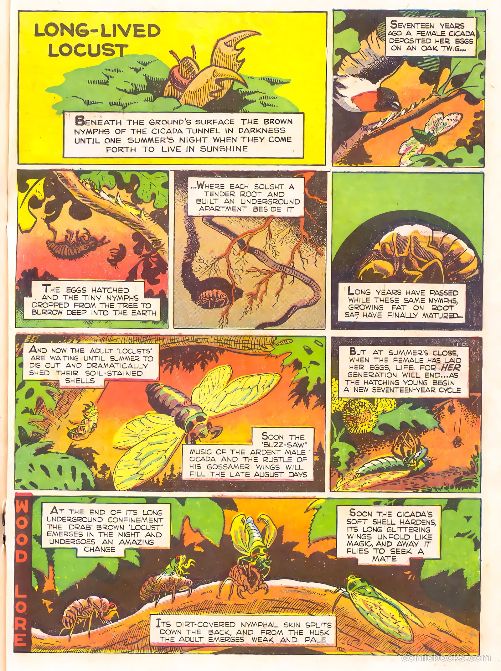 Mark Trail's Adventure Book of Nature #1 — page 79 of 84