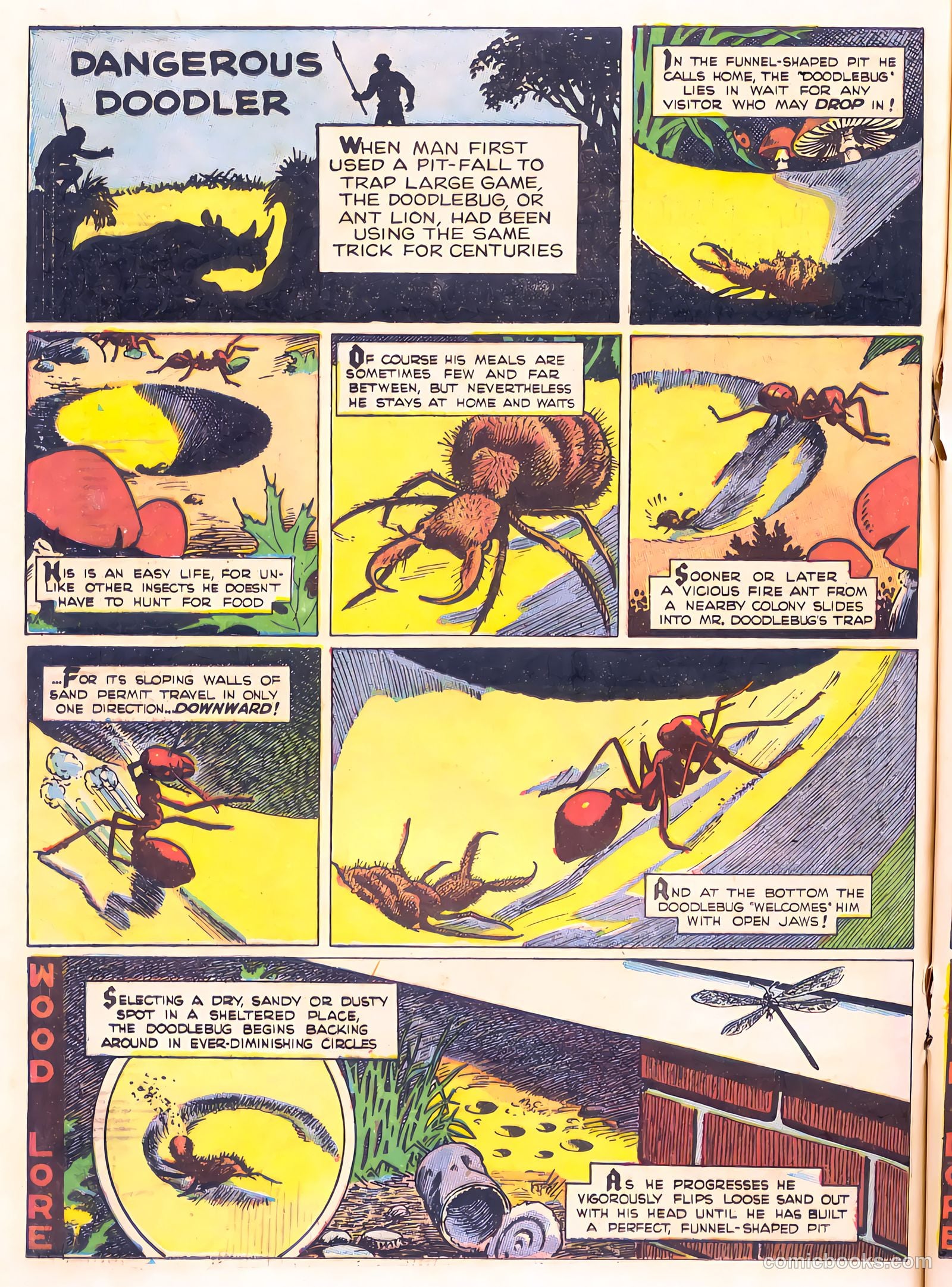 Mark Trail's Adventure Book of Nature #1 — page 80 of 84