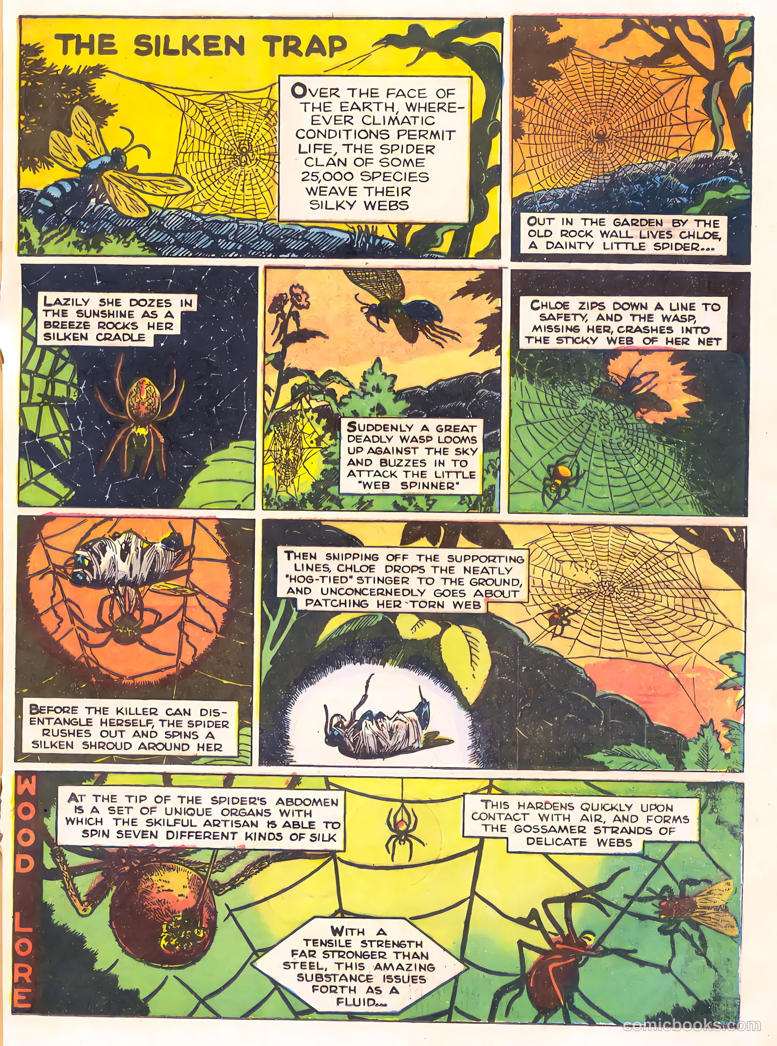Mark Trail's Adventure Book of Nature #1 — page 81 of 84