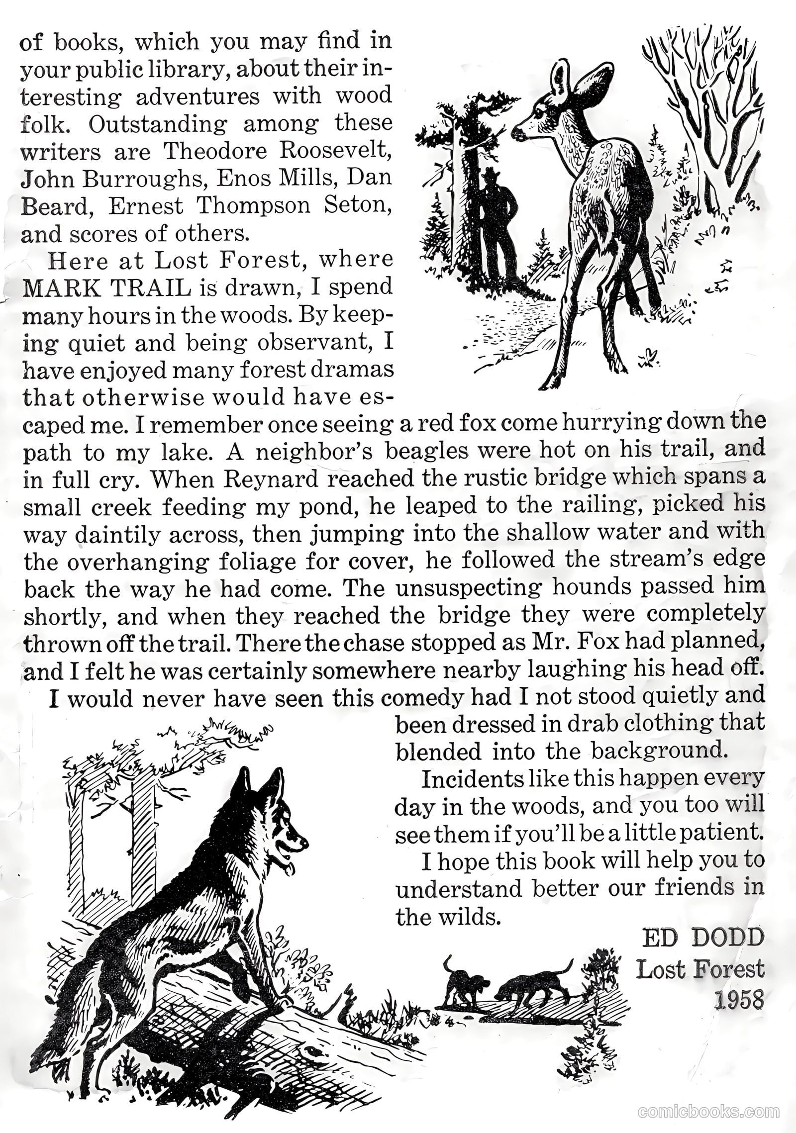 Mark Trail's Adventure Book of Nature #1 — page 83 of 84