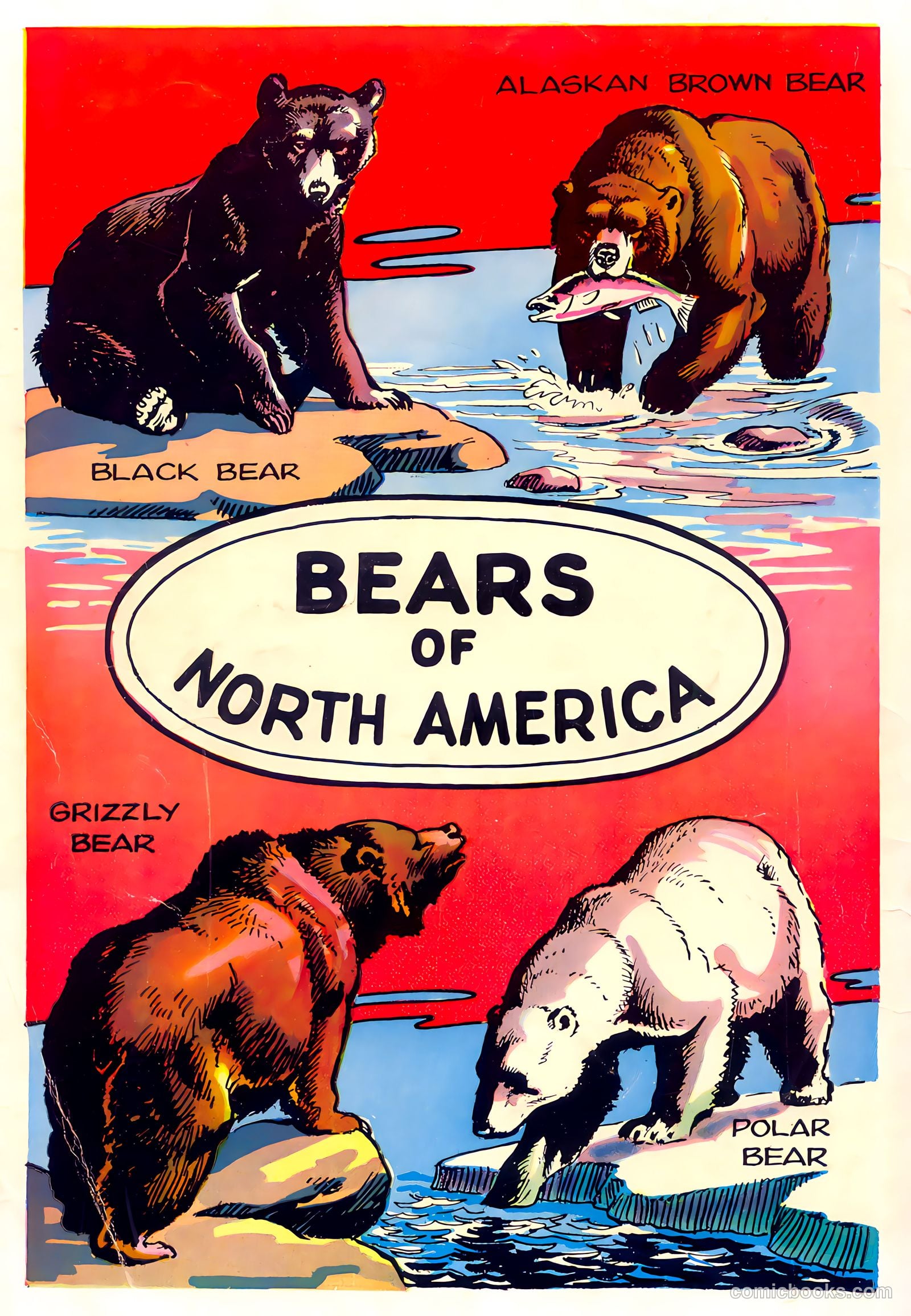 Mark Trail's Adventure Book of Nature #1 — page 84 of 84