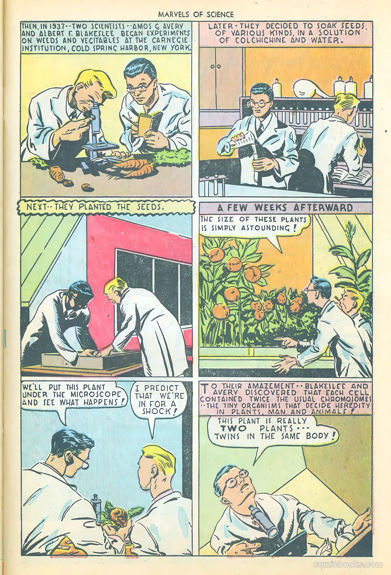 Marvels of Science #2 — page 39 of 52