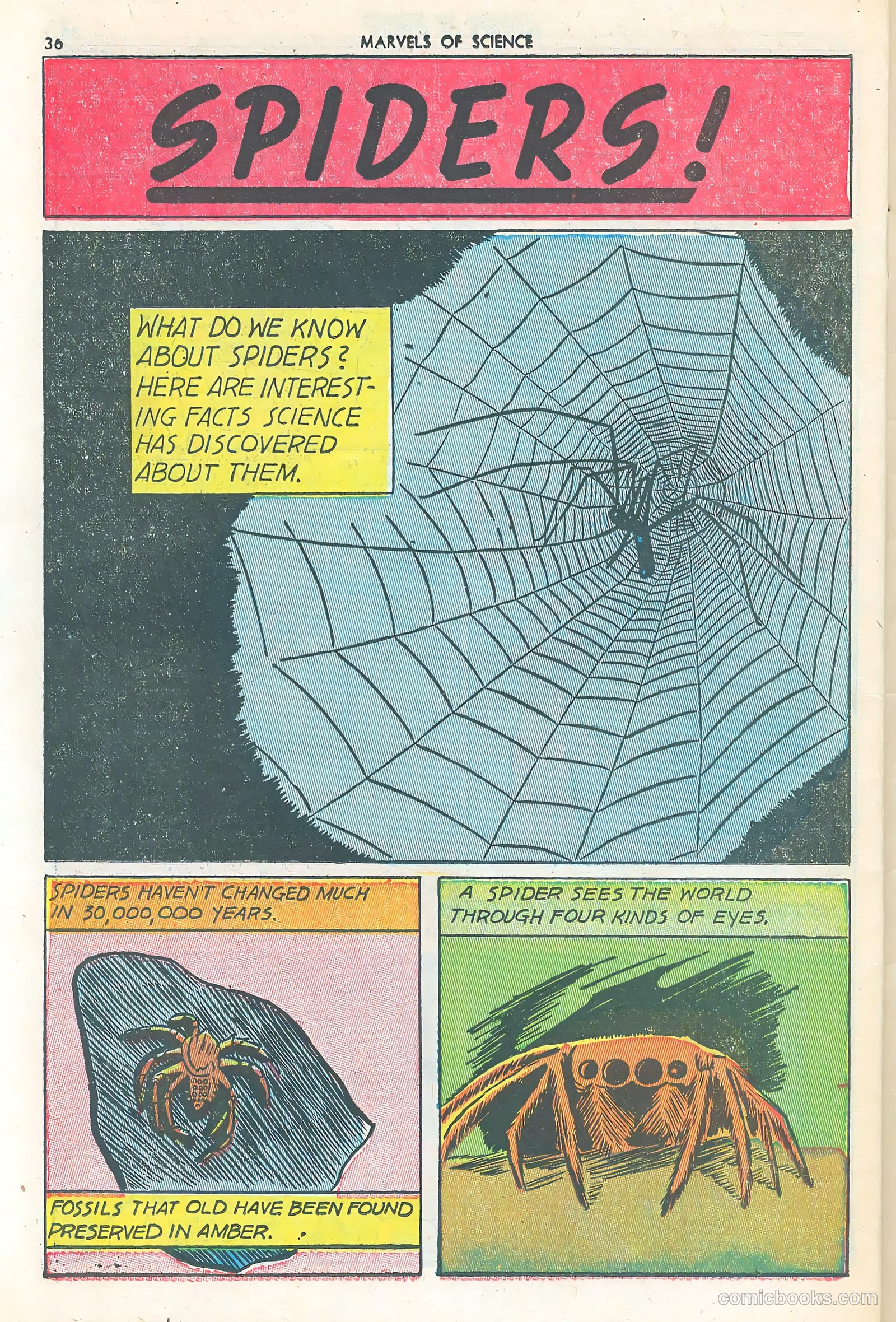 Marvels of Science #3 — page 38 of 52