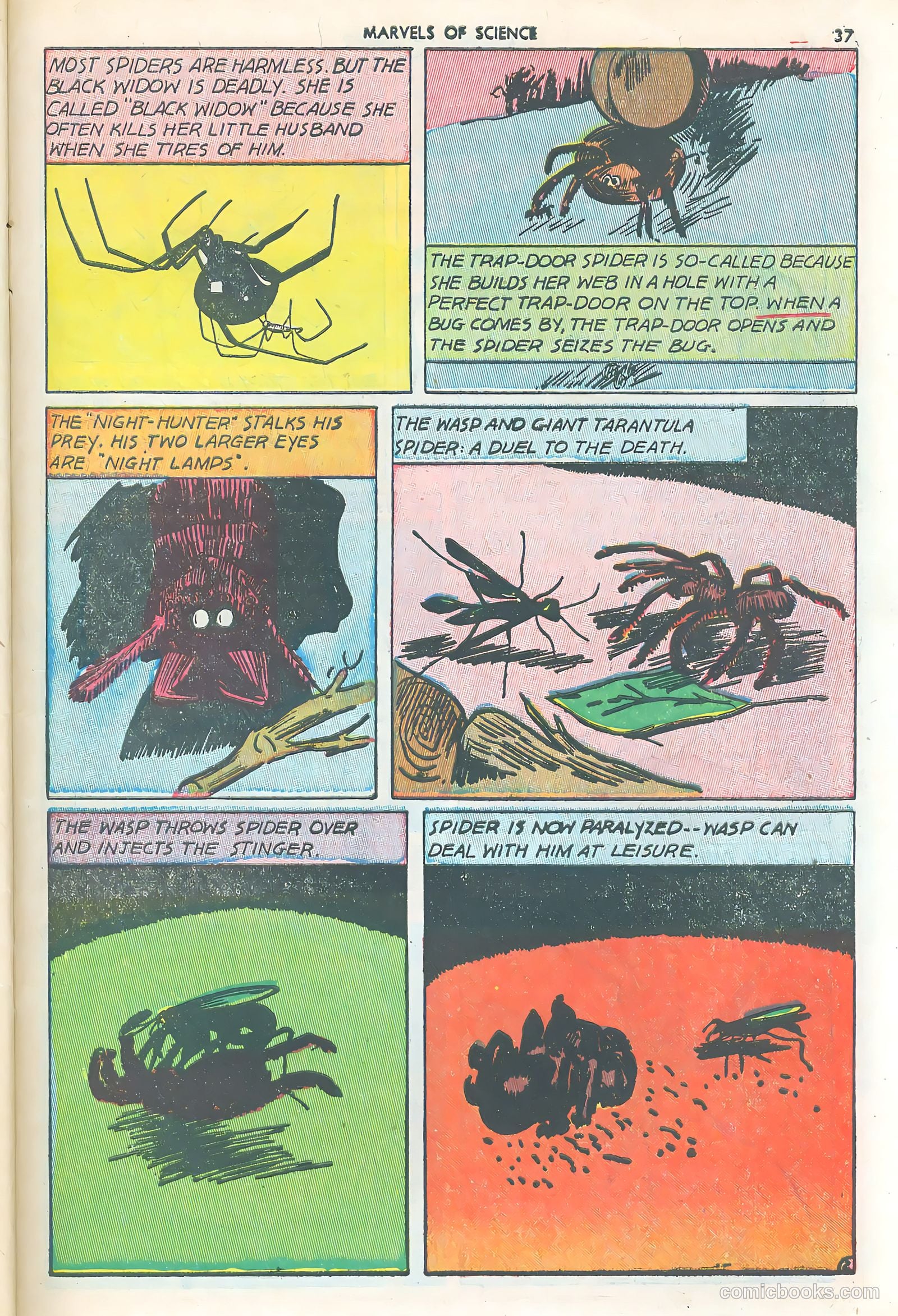 Marvels of Science #3 — page 39 of 52