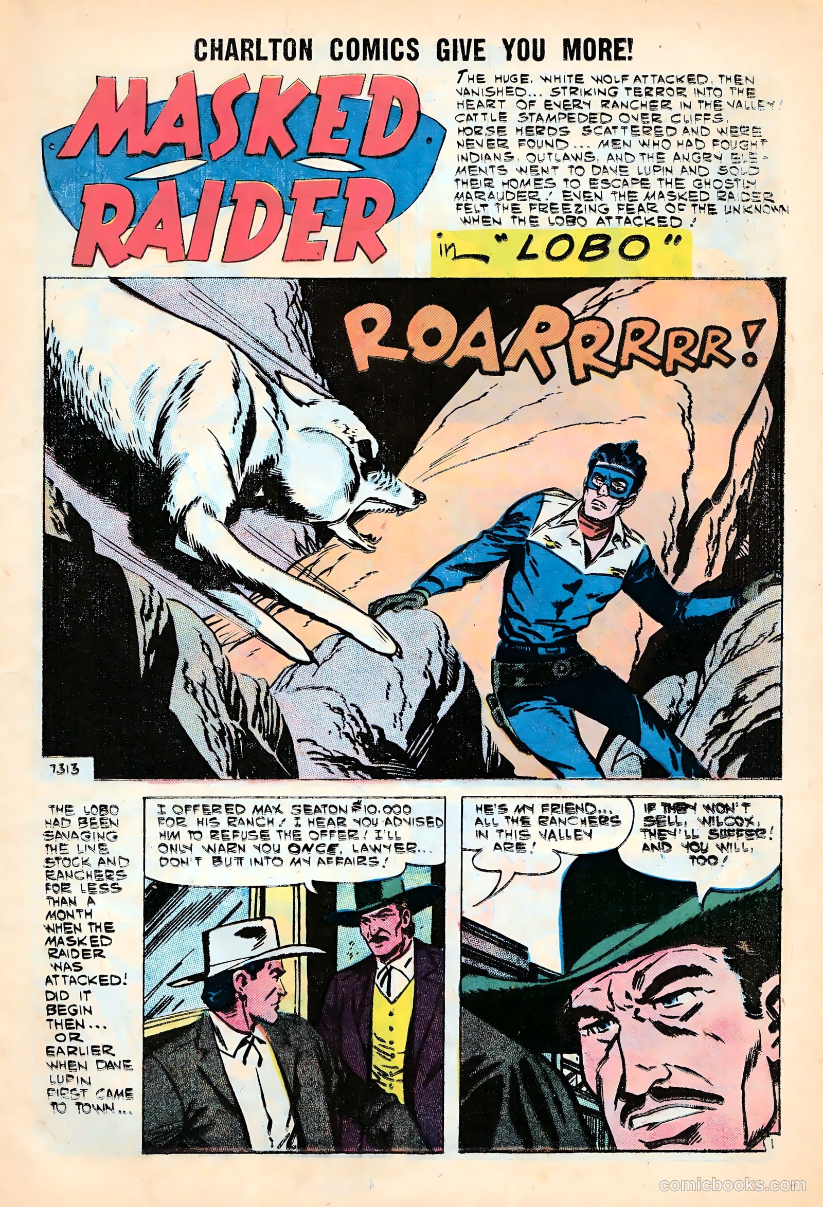 Masked Raider #10 — page 11 of 36