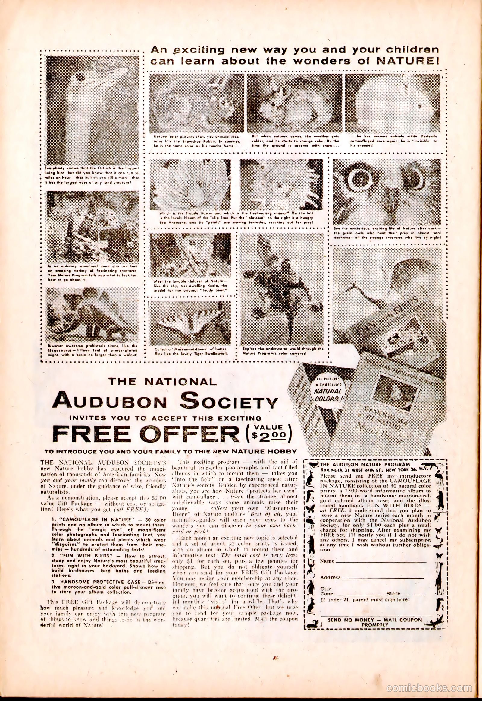 Men in Action #5 — page 24 of 36