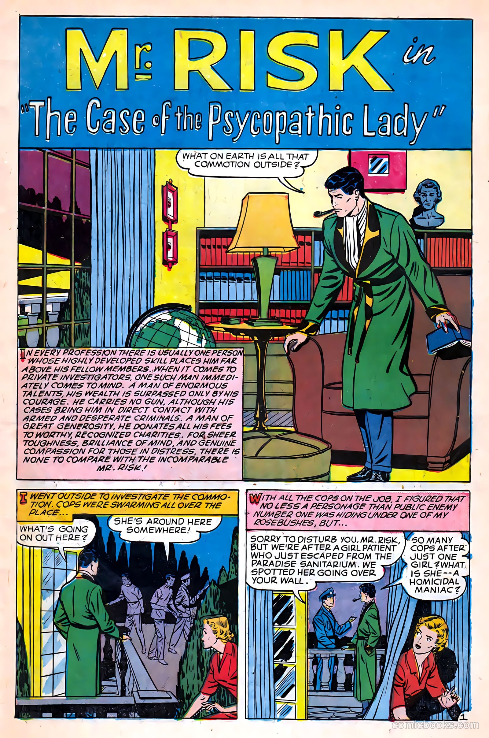 Mr. Risk #2 — page 3 of 36