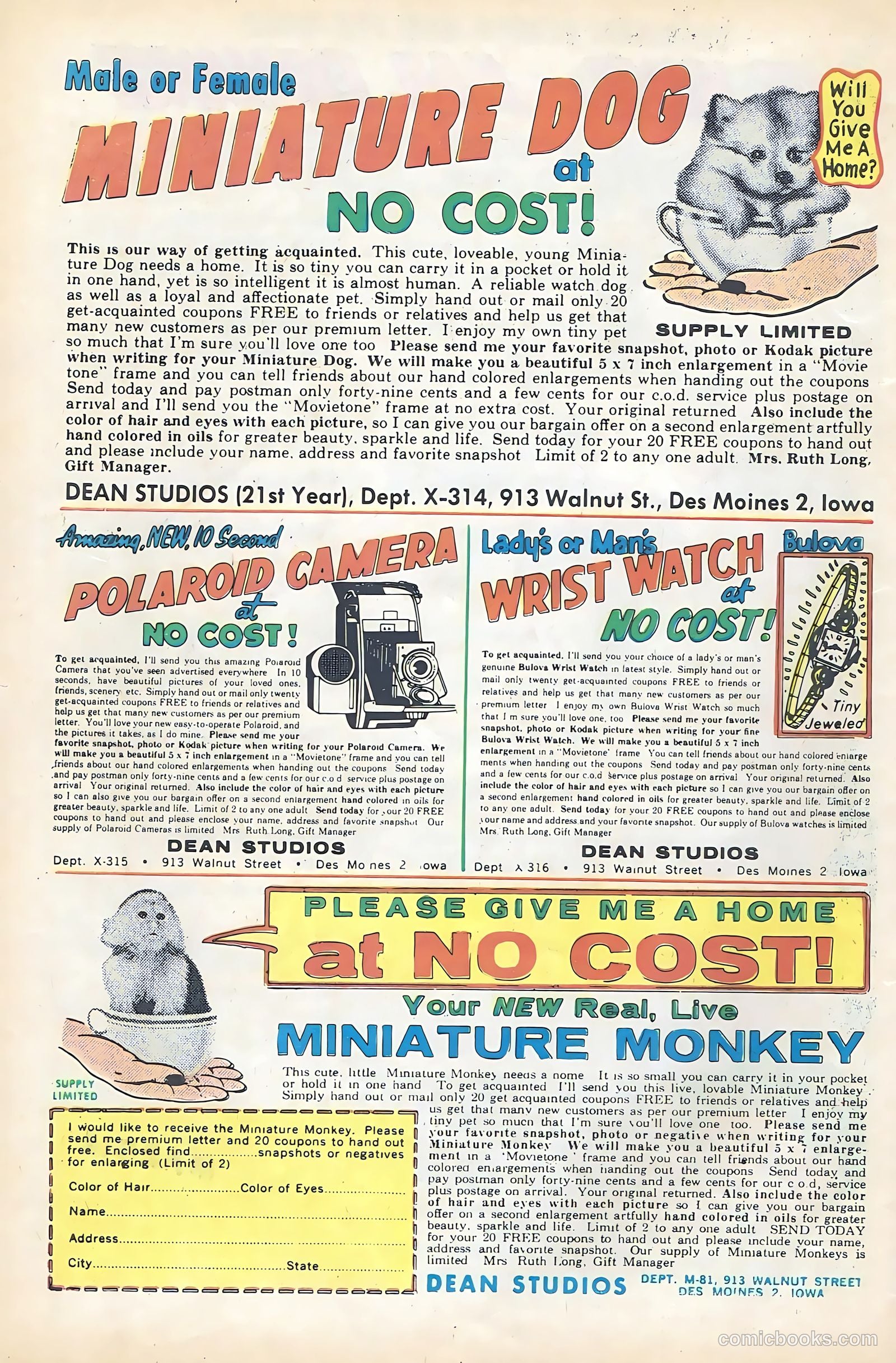 My Little Margie #39 — page 34 of 36