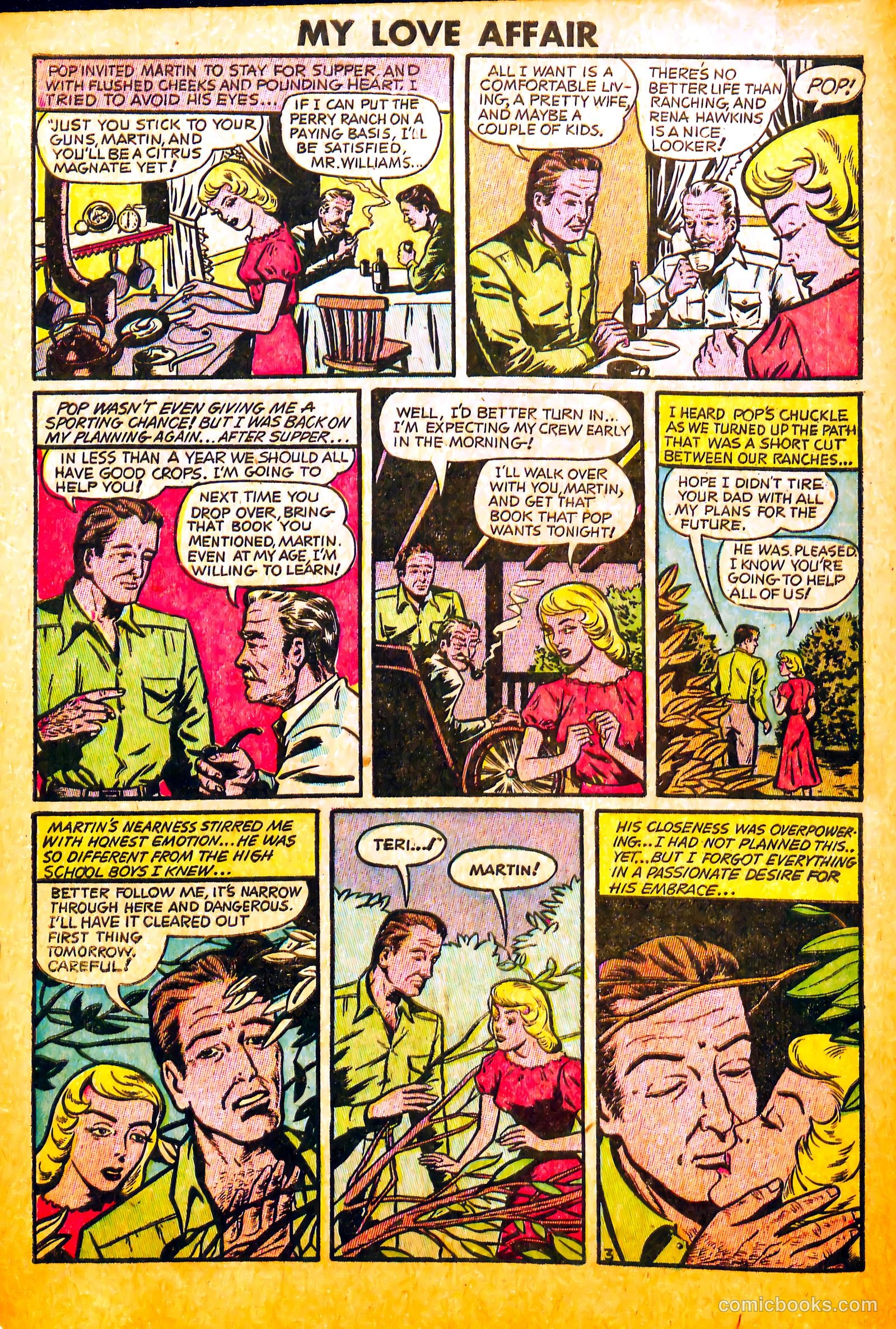 My Love Affair #3 — page 4 of 36