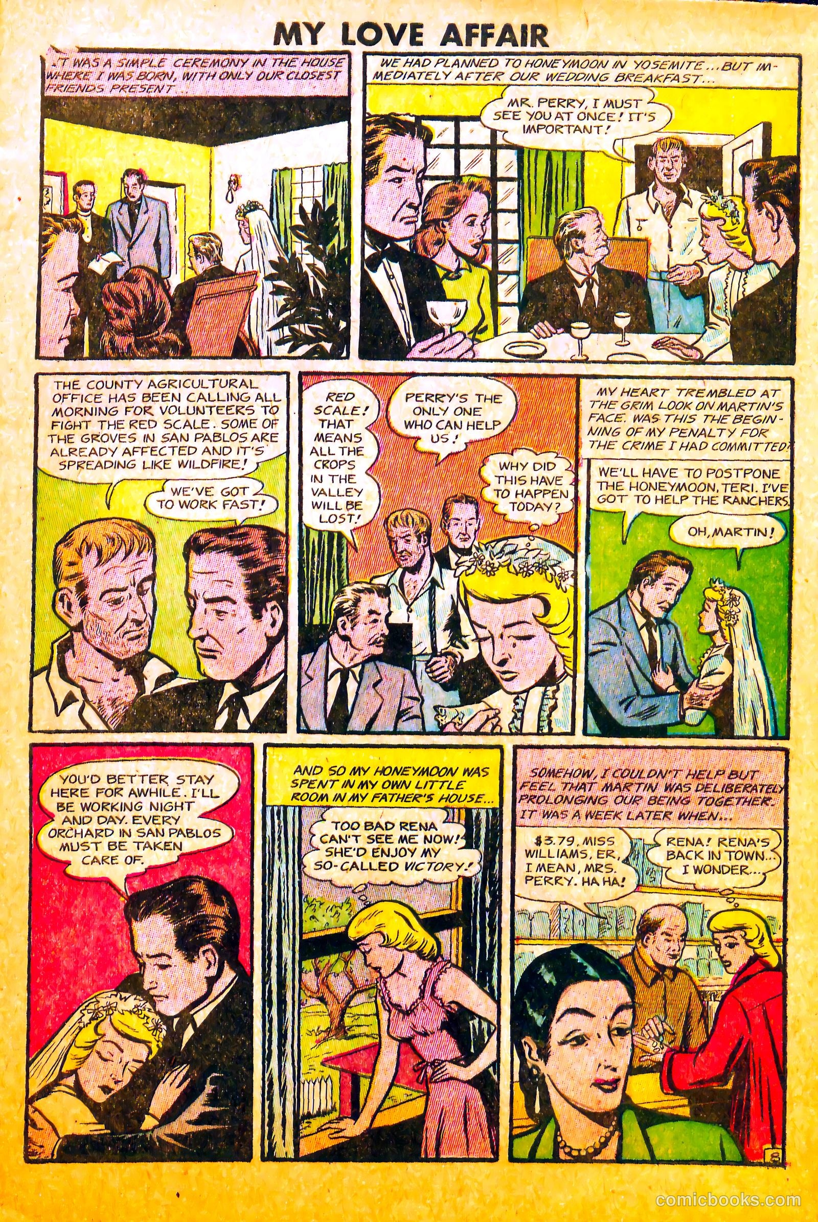 My Love Affair #3 — page 9 of 36