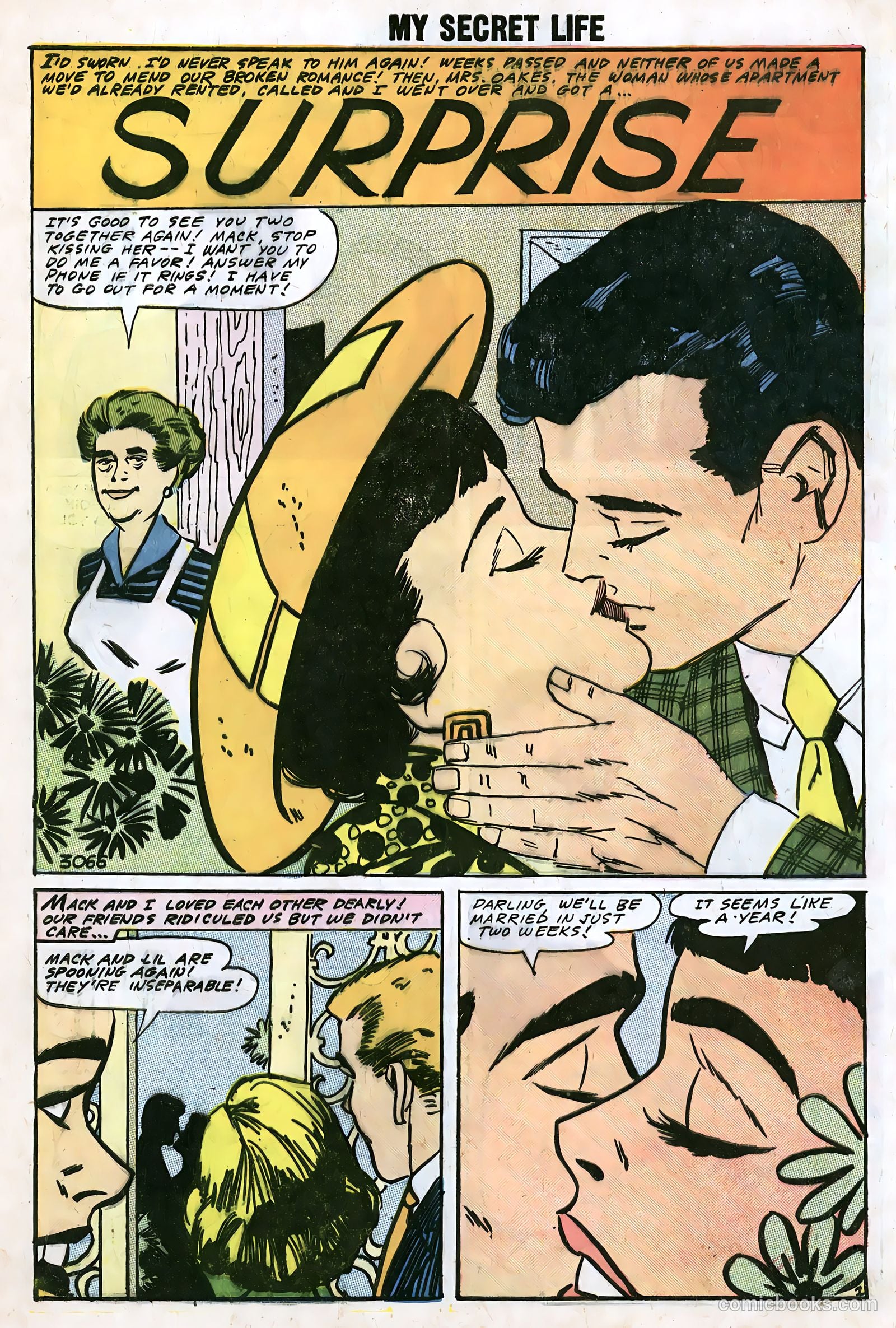 My Secret Life #23 — page 28 of 36
