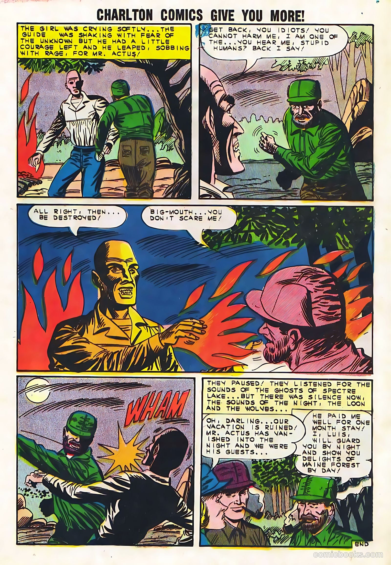 Mysteries of Unexplored Worlds #38 — page 13 of 36