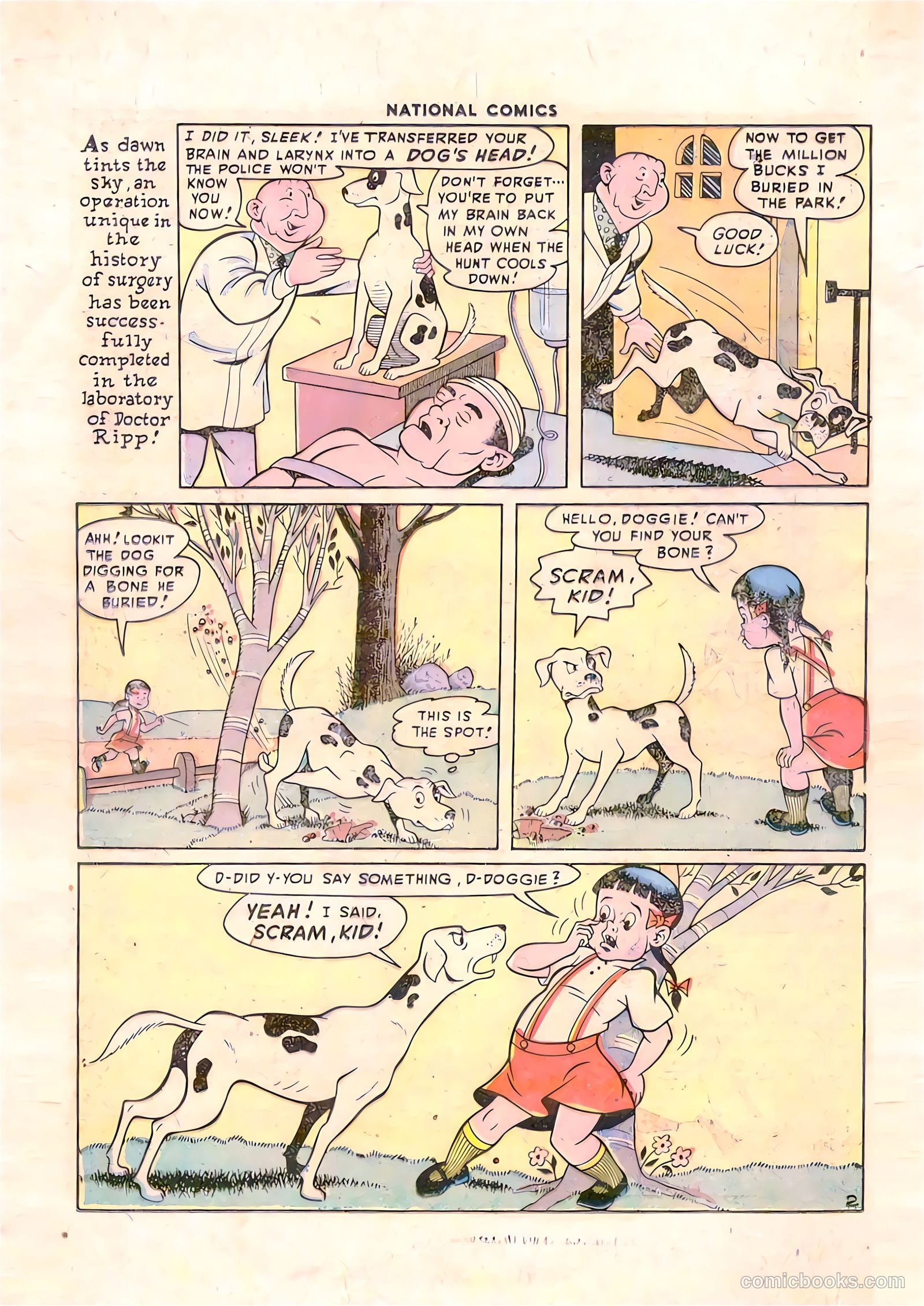 National Comics #63 — page 17 of 54
