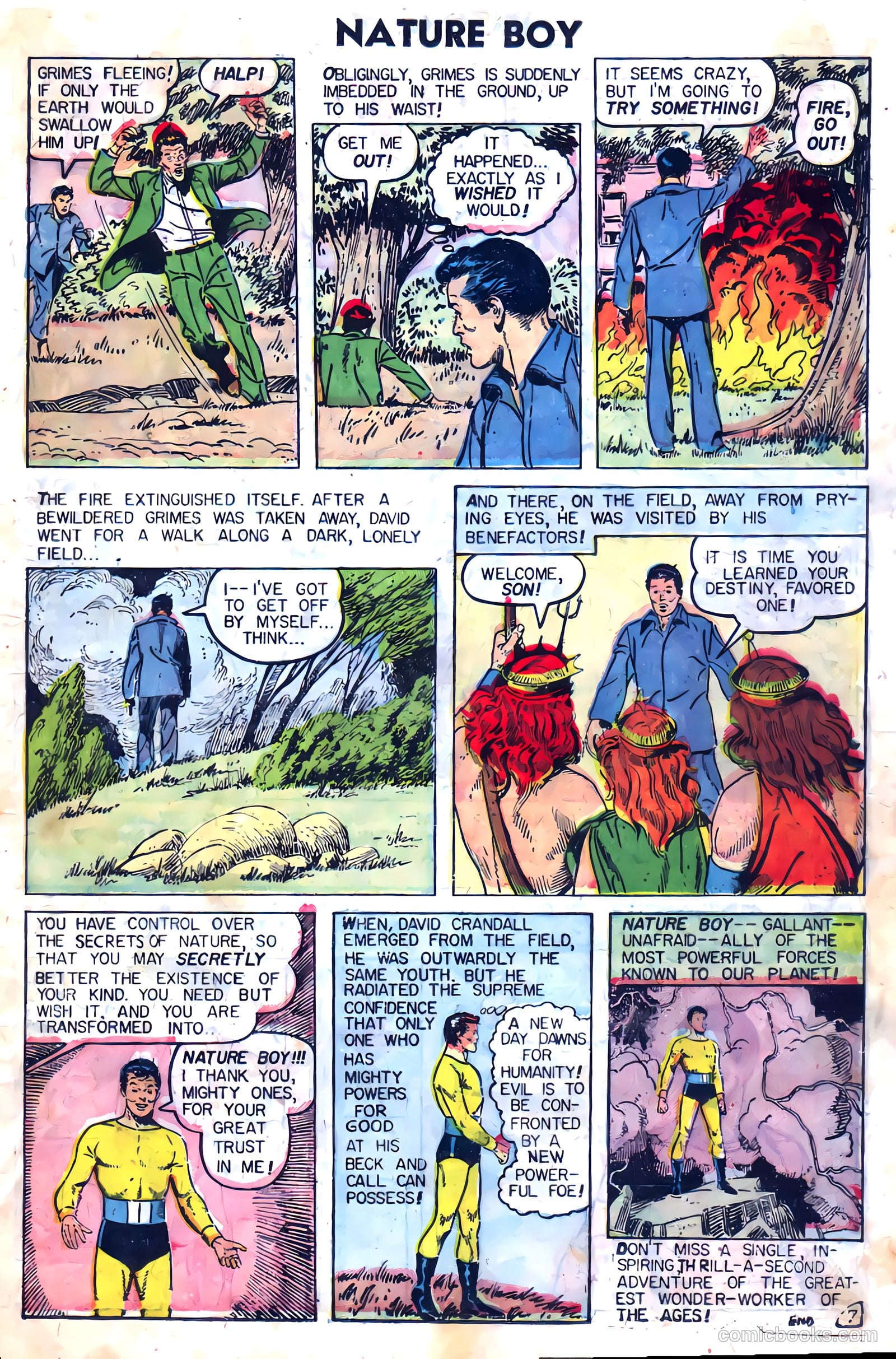 Nature Boy #3 — page 9 of 36