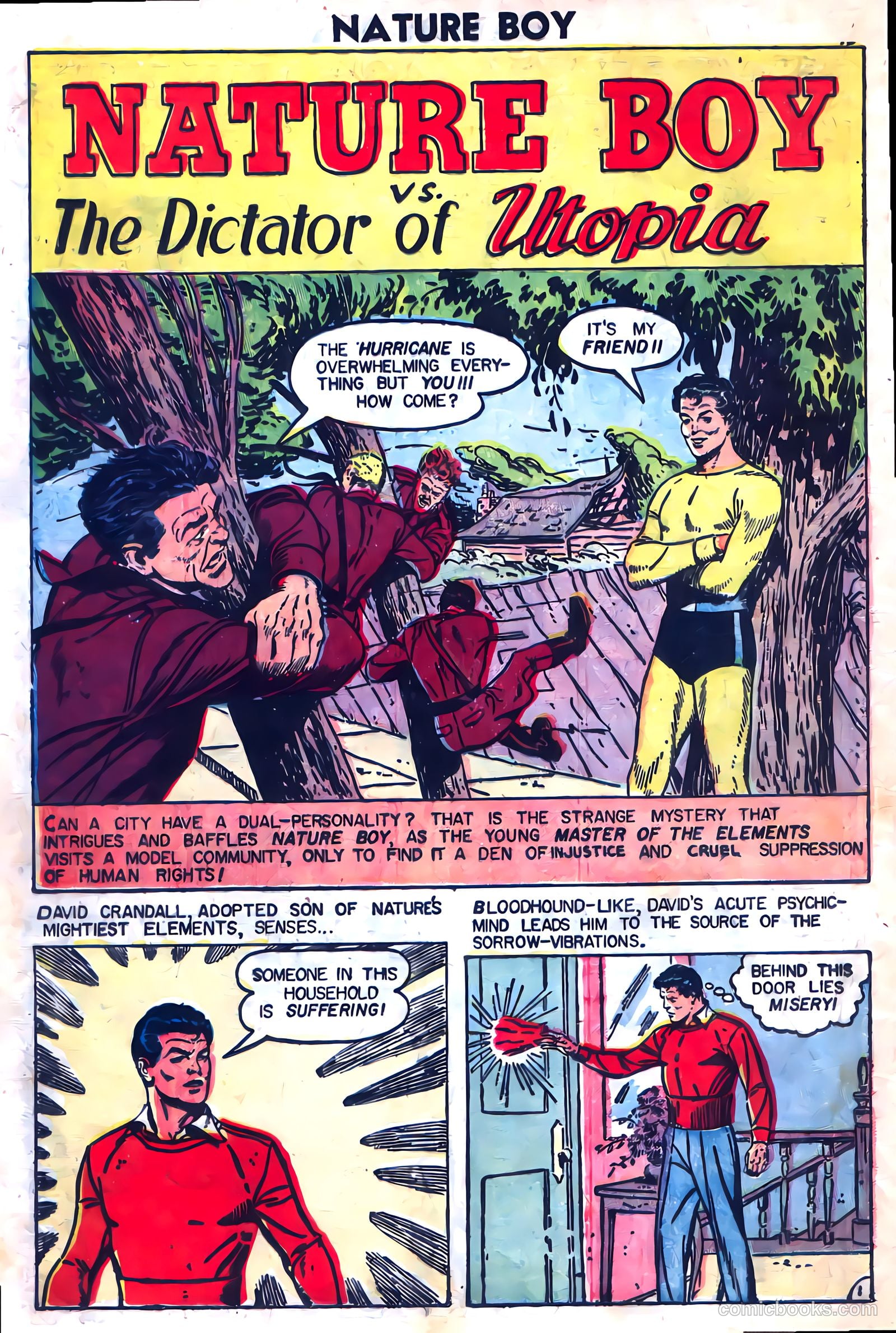 Nature Boy #3 — page 10 of 36