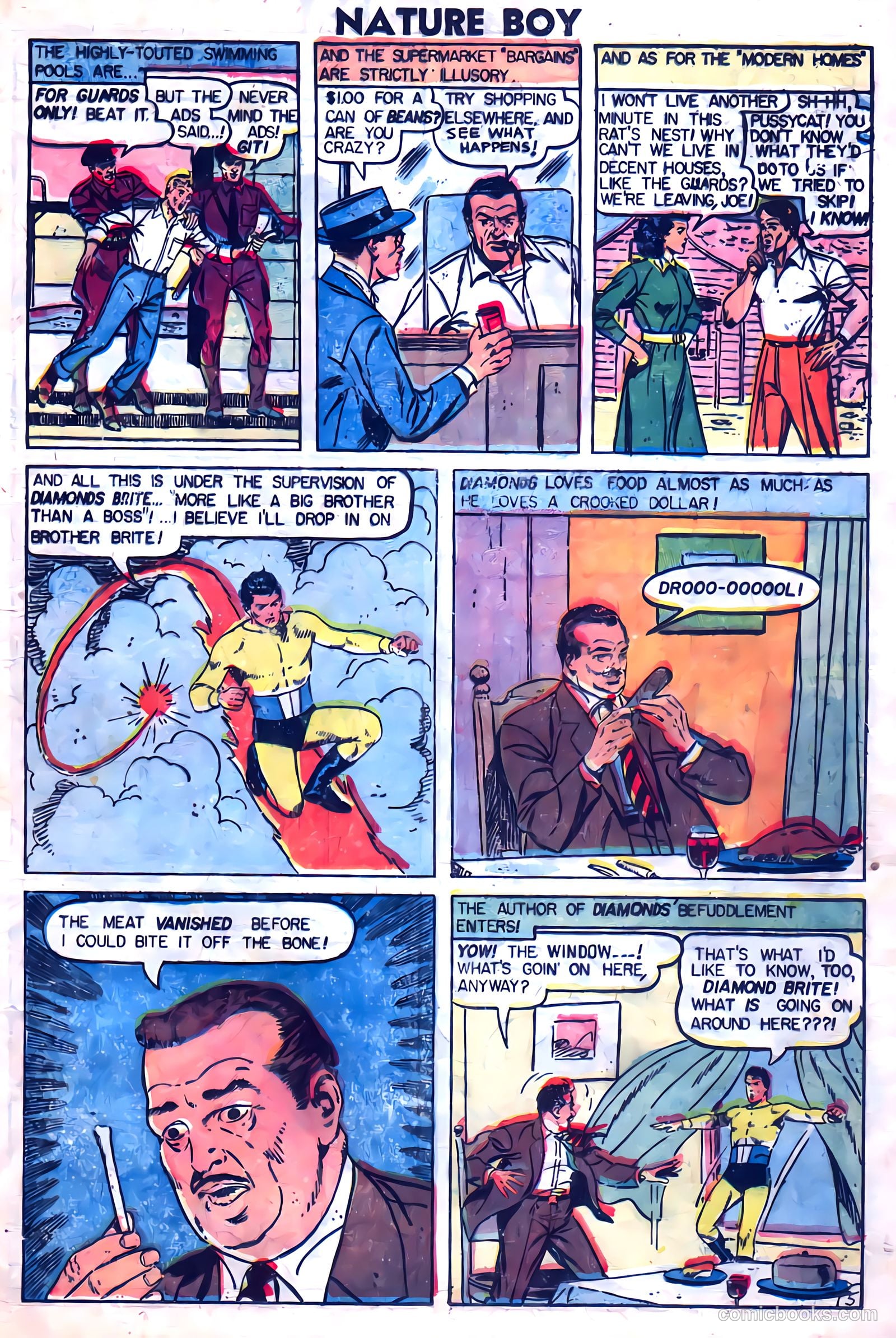 Nature Boy #3 — page 15 of 36