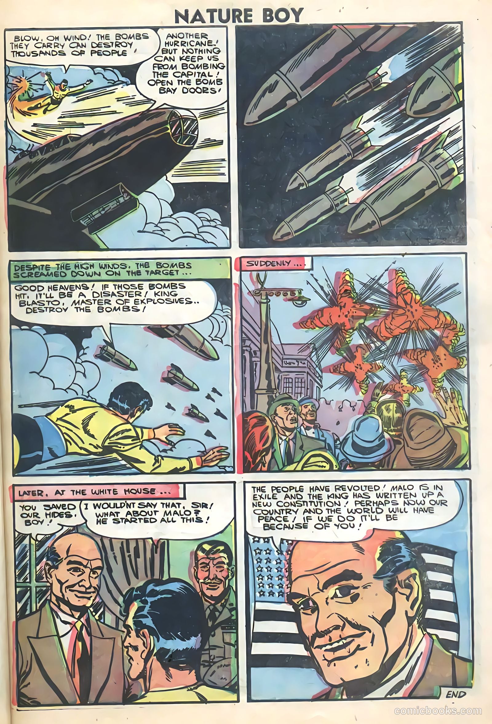Nature Boy #4 — page 9 of 36