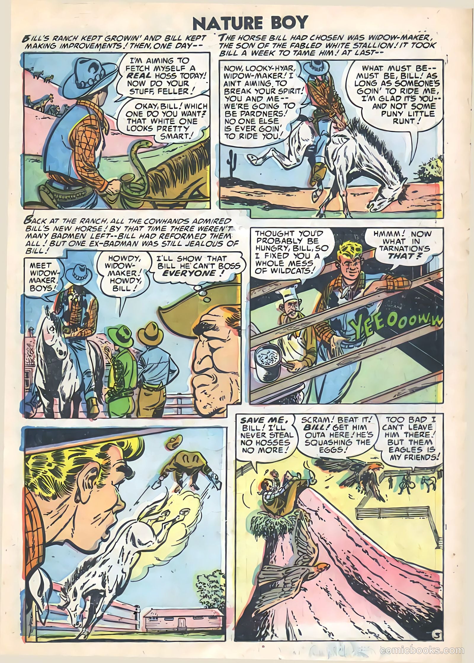 Nature Boy #4 — page 19 of 36