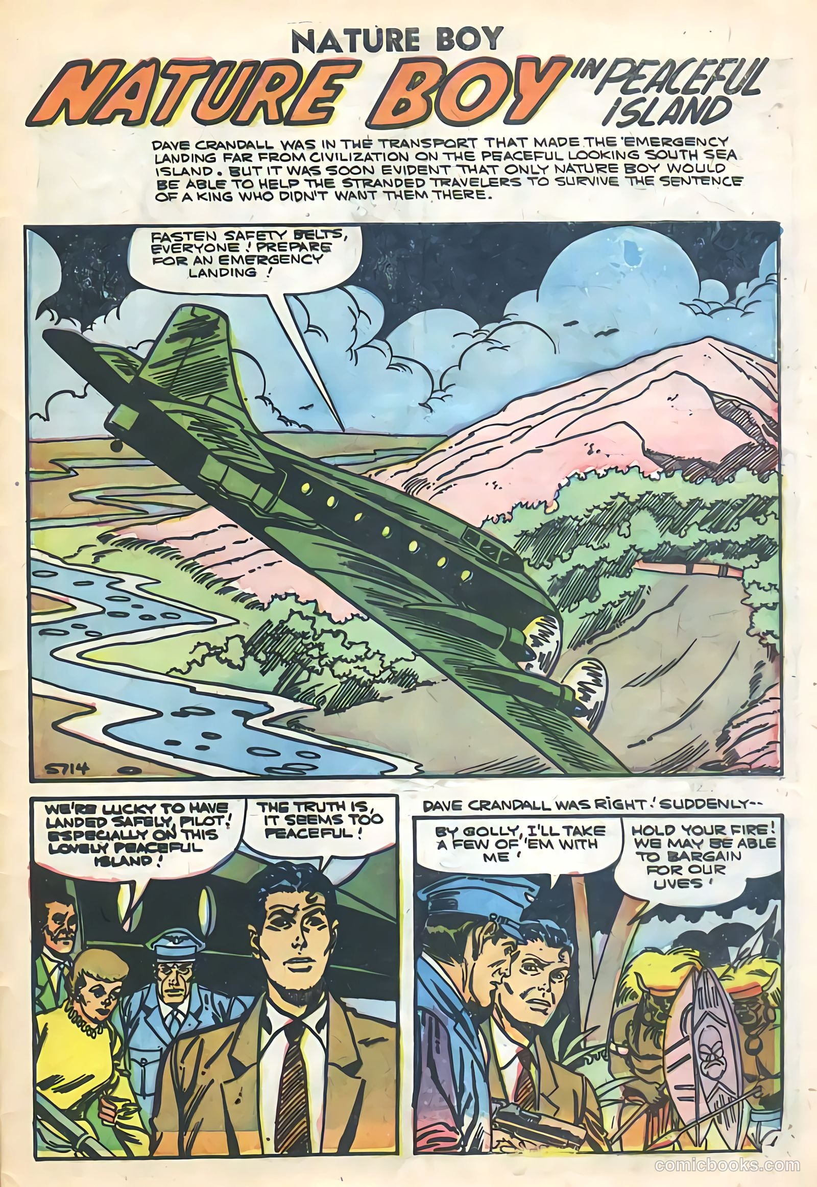 Nature Boy #4 — page 29 of 36