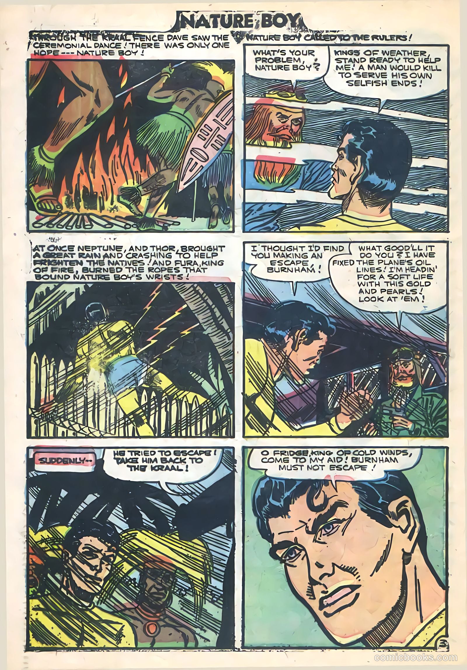 Nature Boy #4 — page 32 of 36