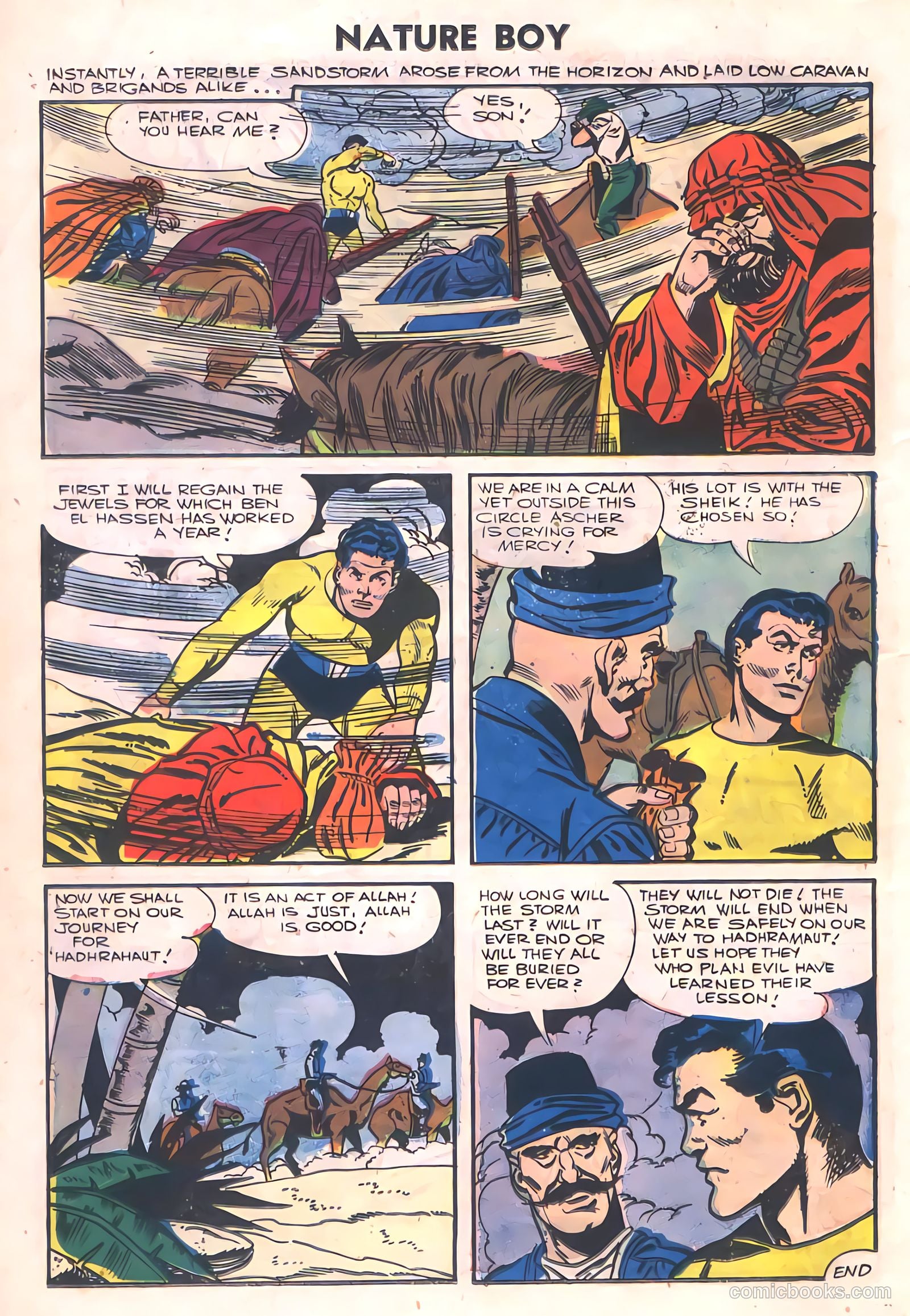 Nature Boy #5 — page 14 of 36