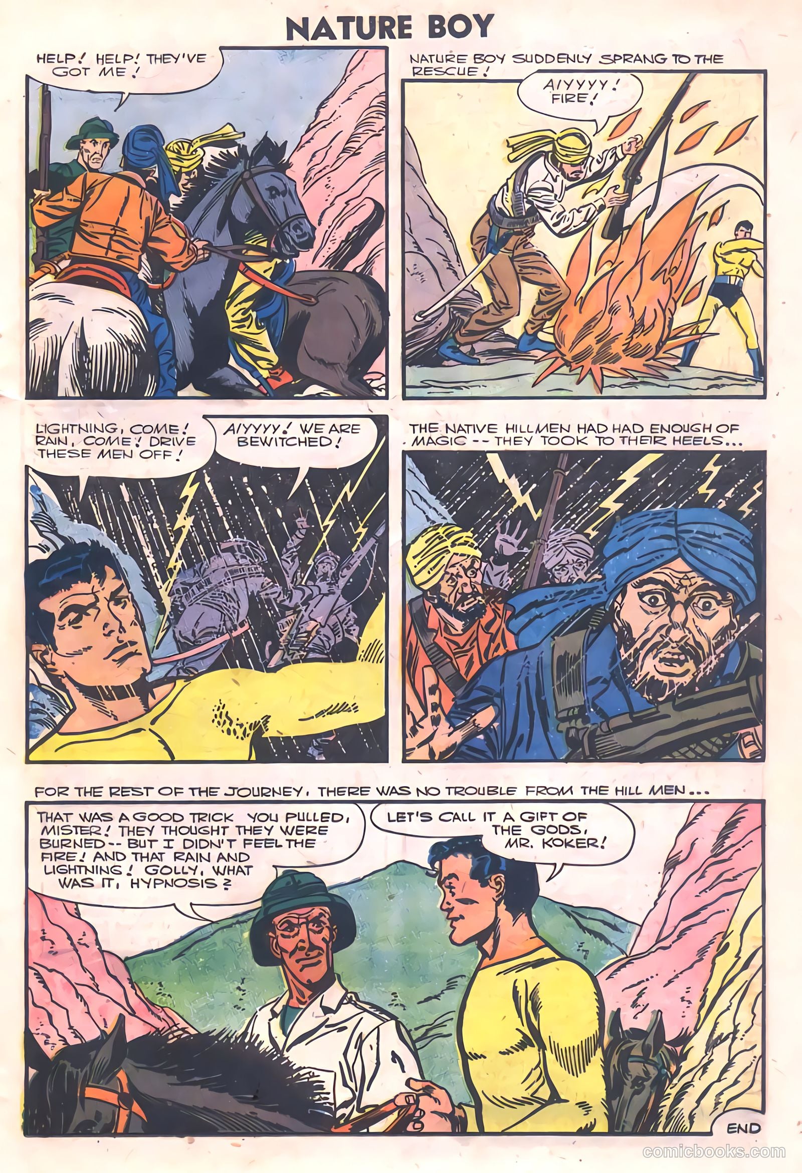 Nature Boy #5 — page 21 of 36