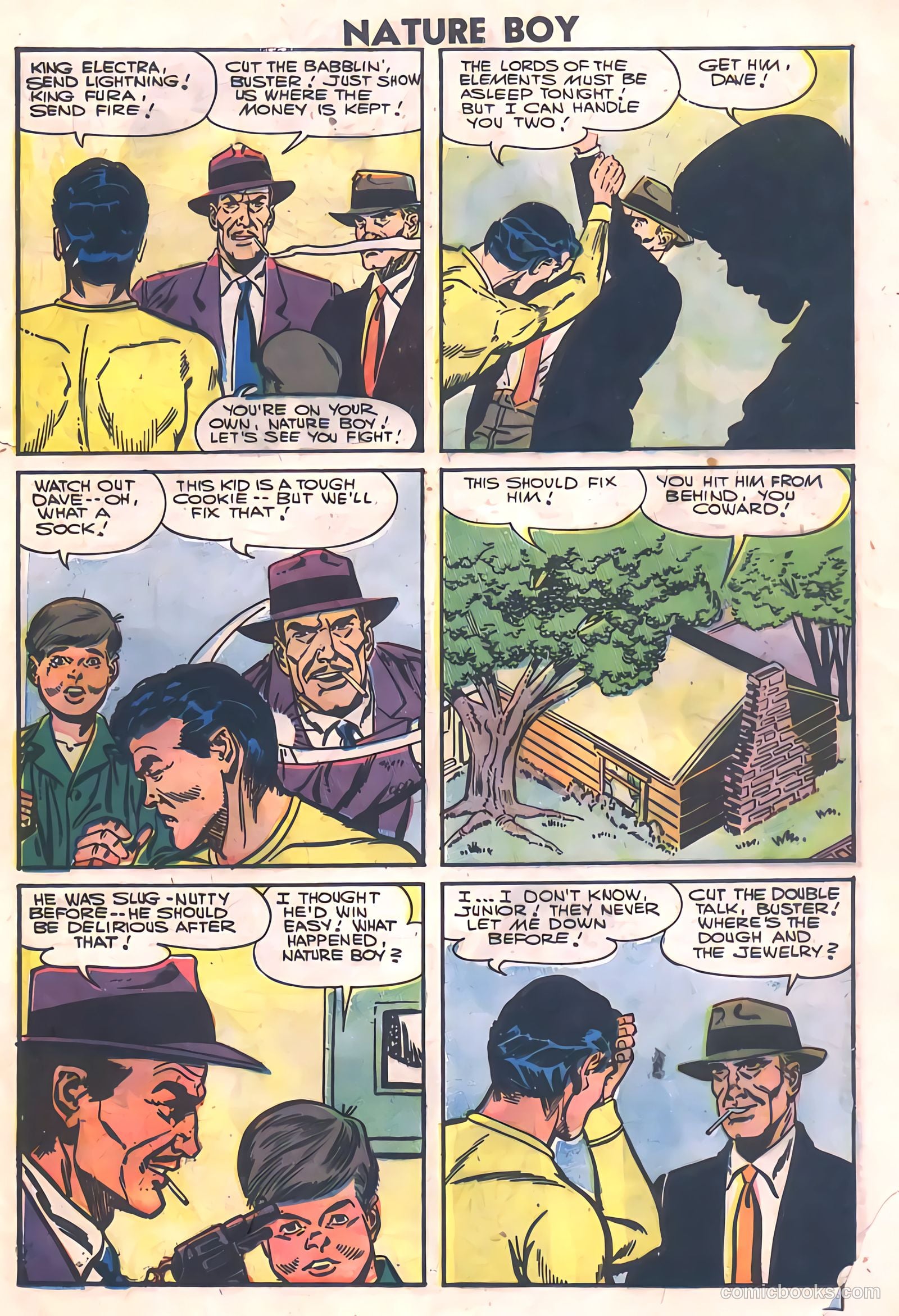 Nature Boy #5 — page 25 of 36