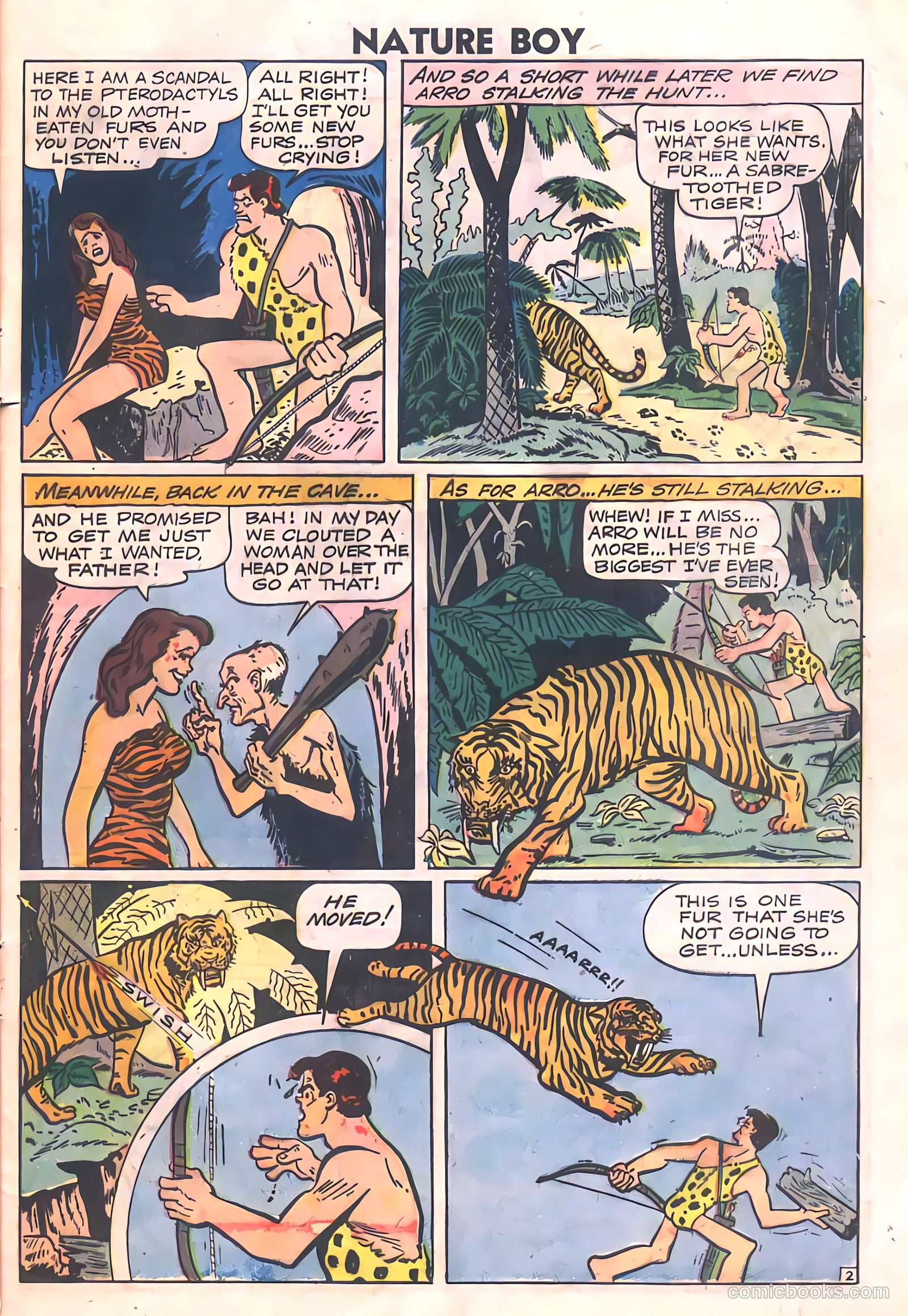 Nature Boy #5 — page 29 of 36