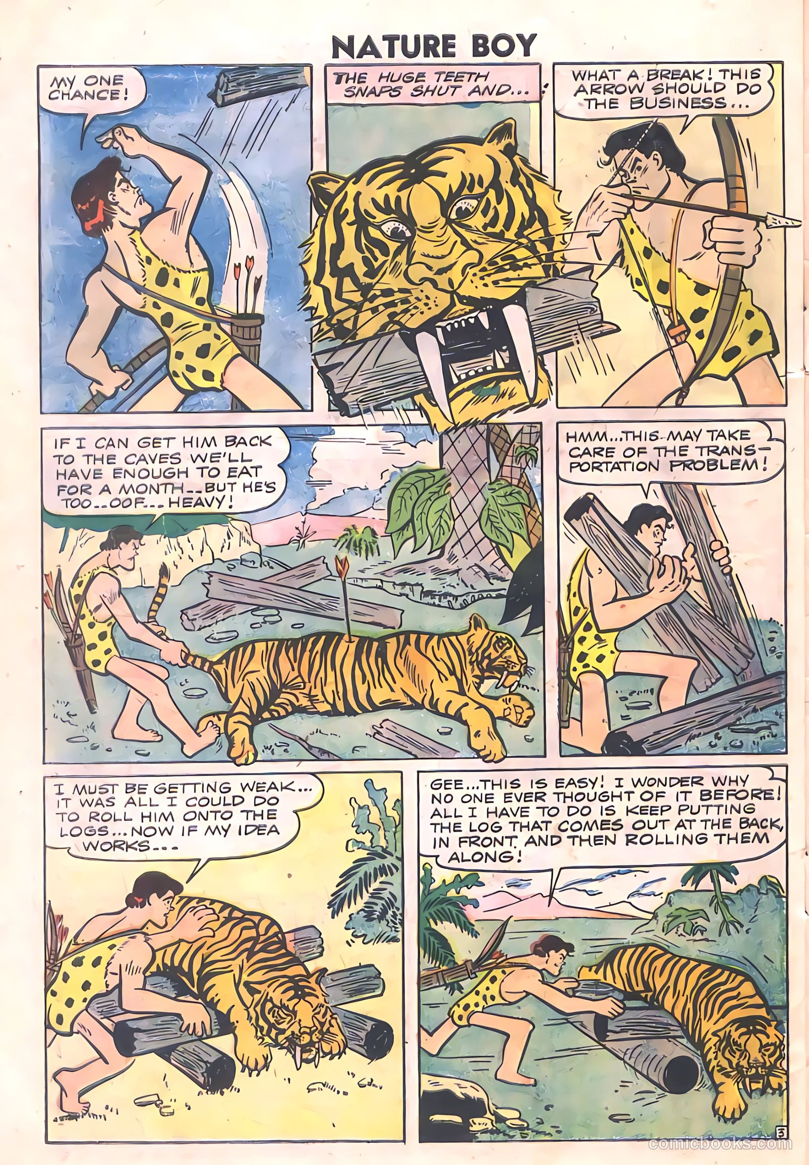 Nature Boy #5 — page 30 of 36