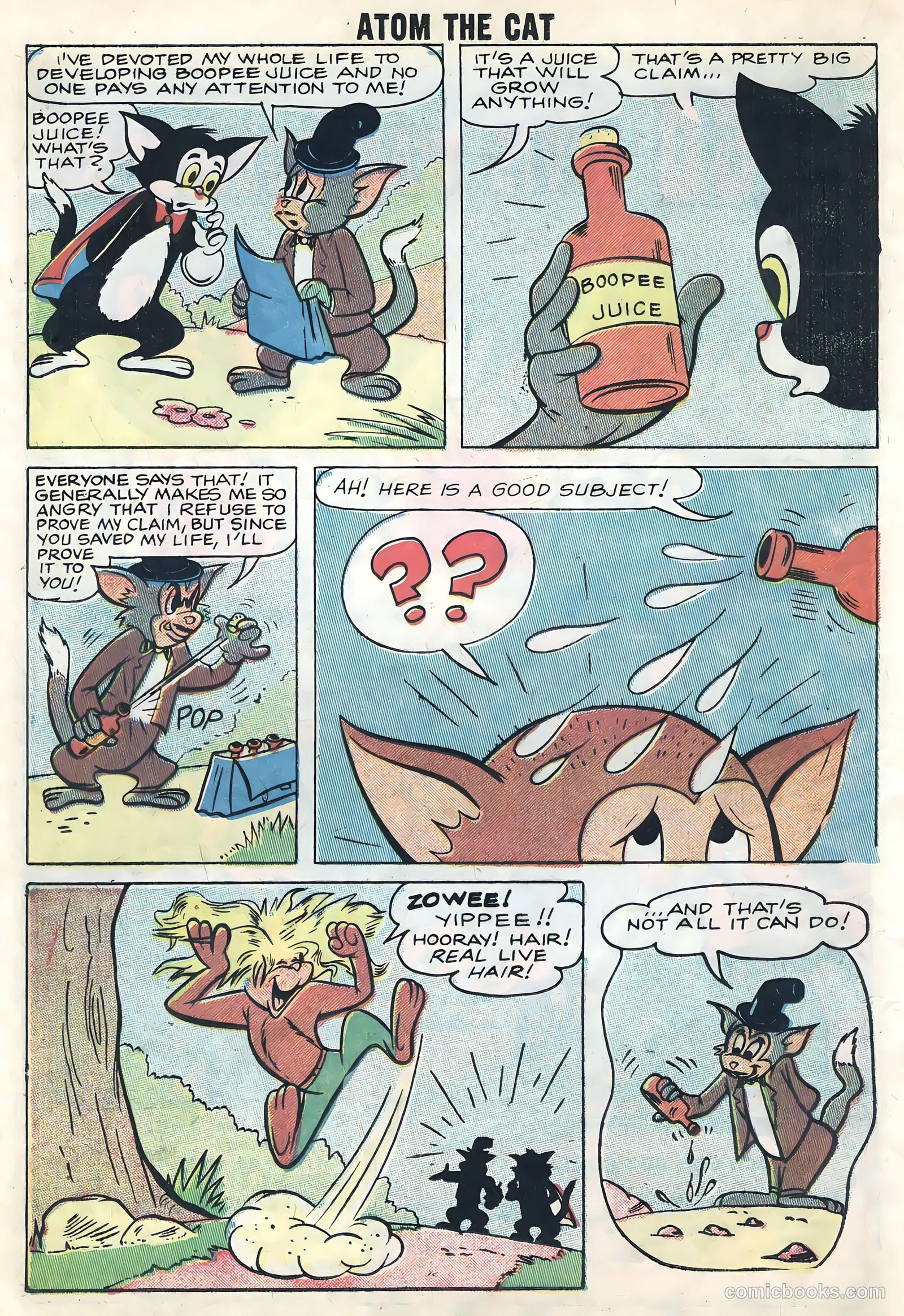 Atom the Cat #14 — page 16 of 36