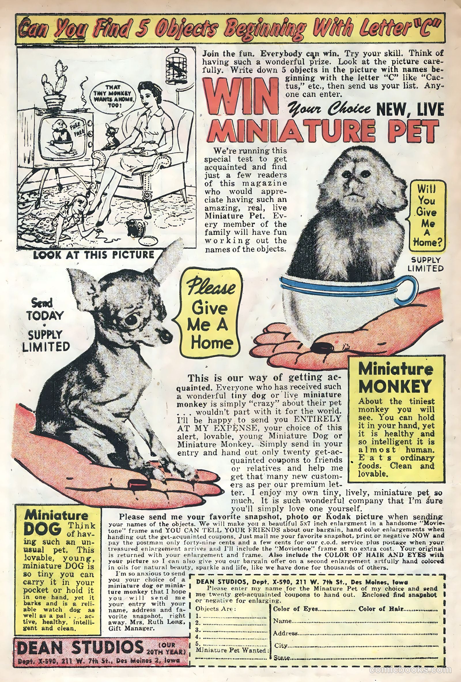 Atom the Cat #15 — page 6 of 35