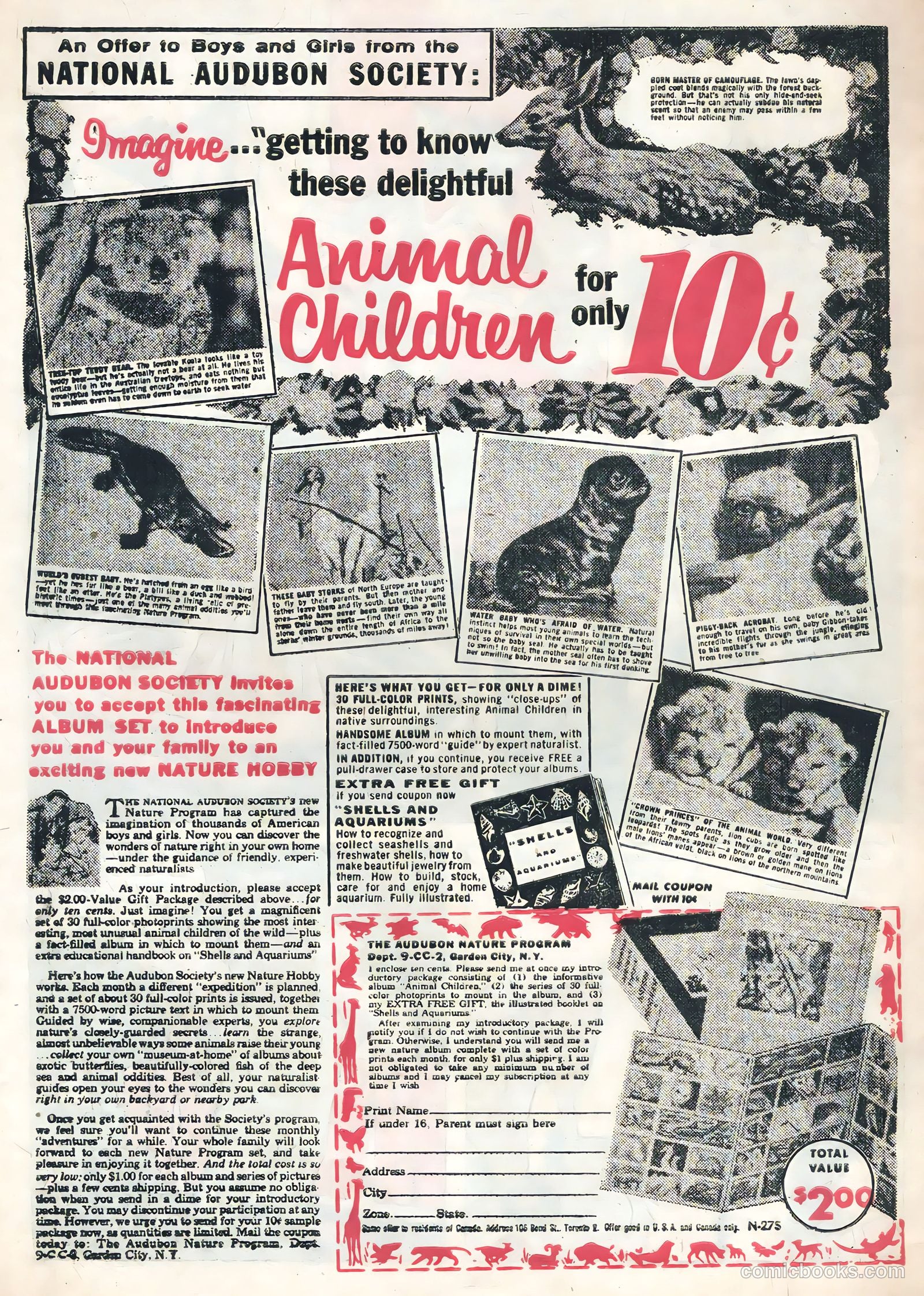 Atom the Cat #15 — page 33 of 35