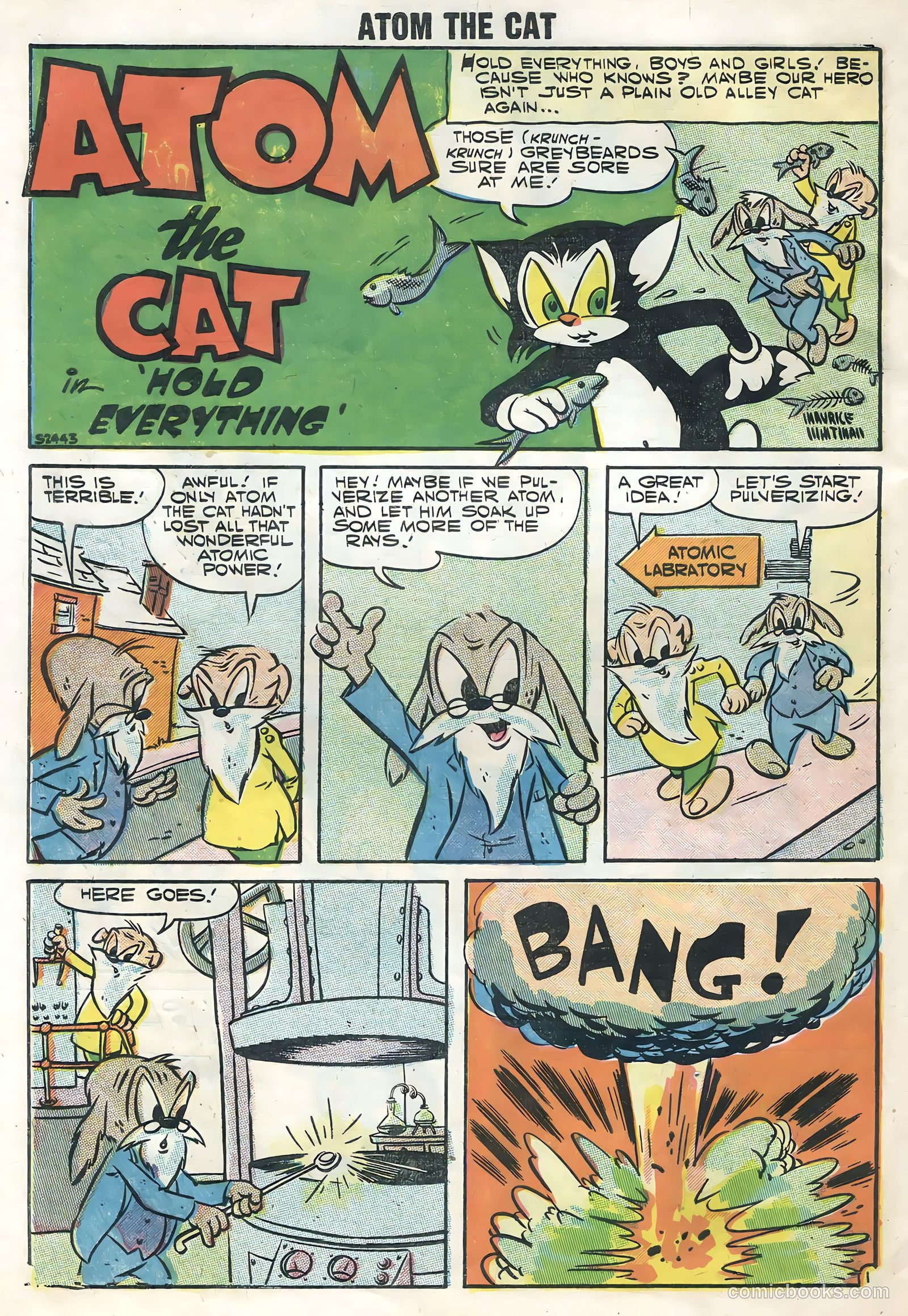 Atom the Cat #9 — page 30 of 36