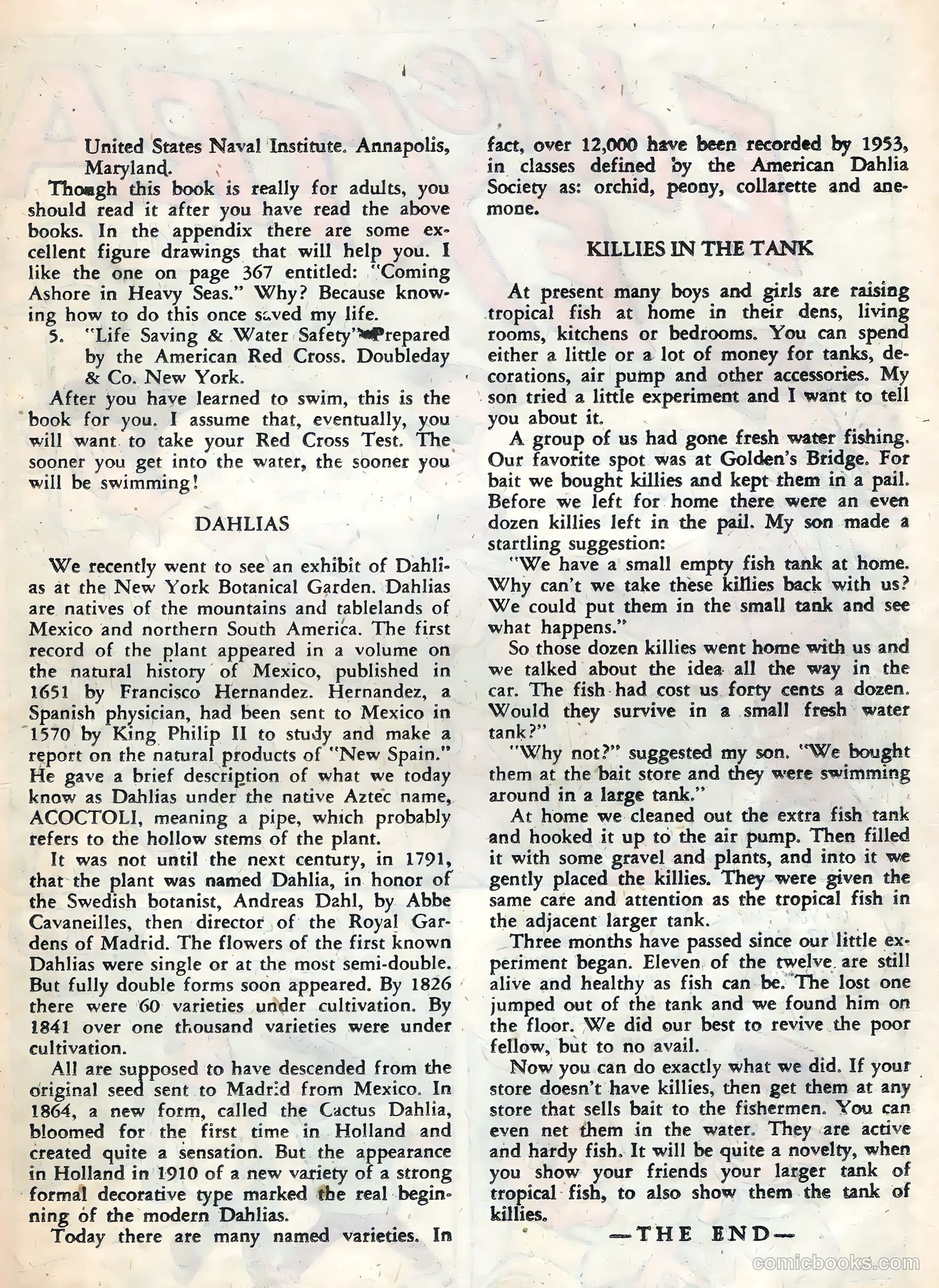 Atomic Bunny #13 — page 19 of 36