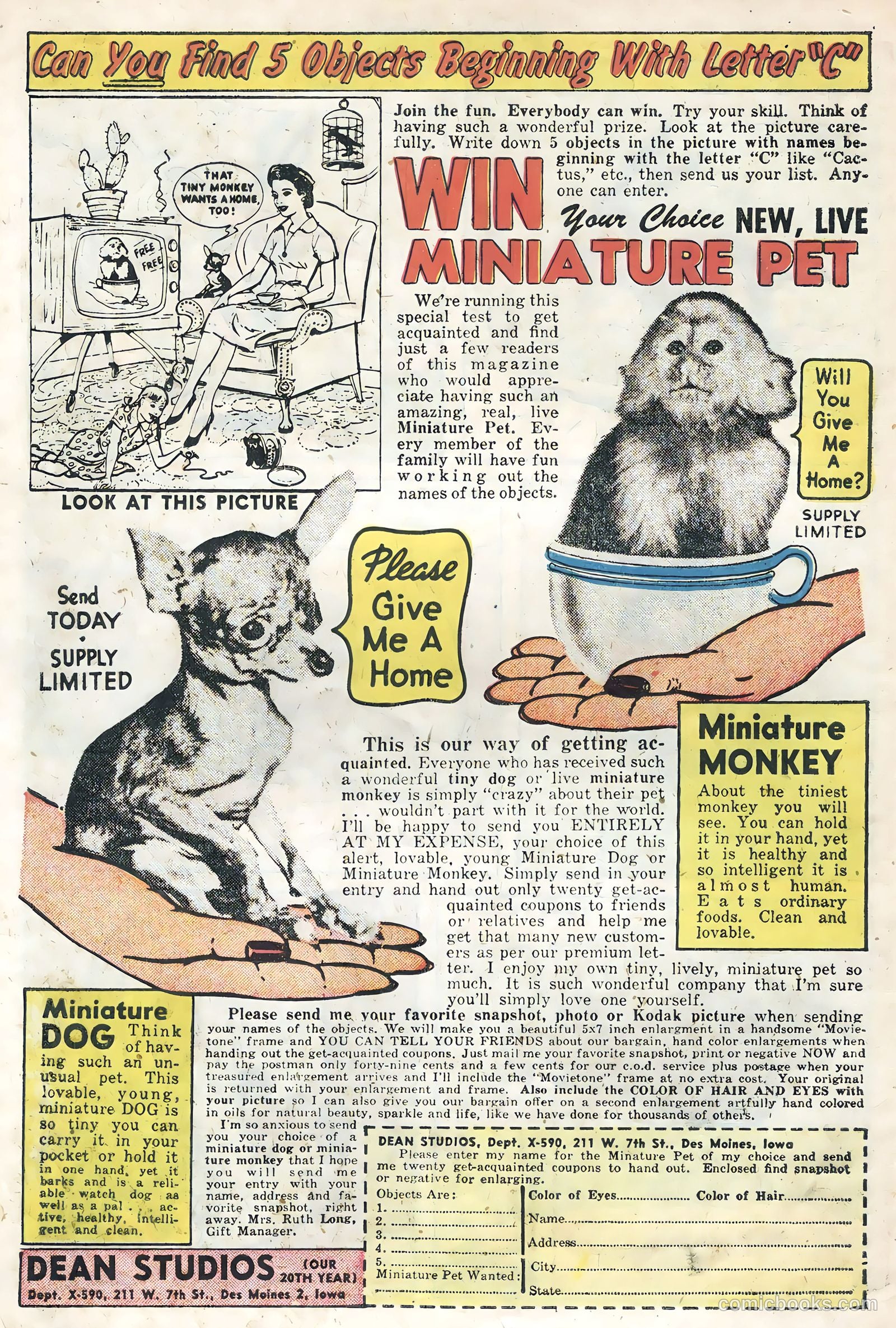 Atomic Bunny #15 — page 6 of 35