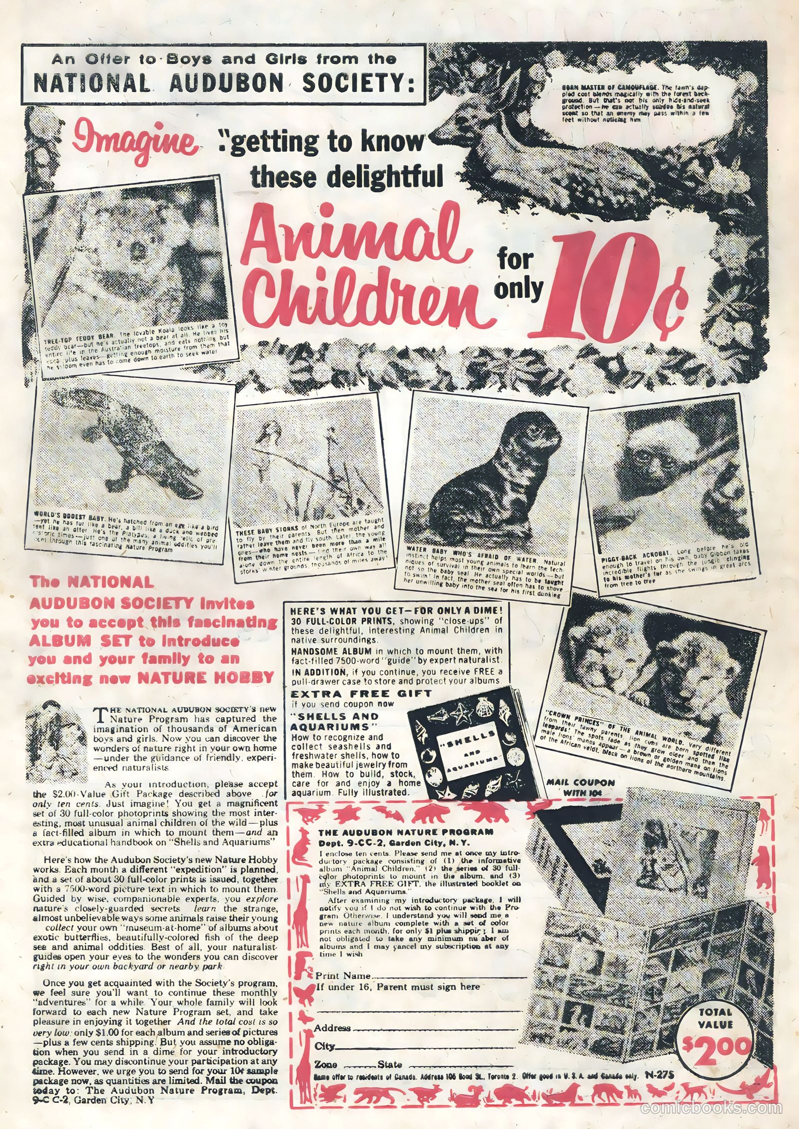 Atomic Bunny #15 — page 33 of 35