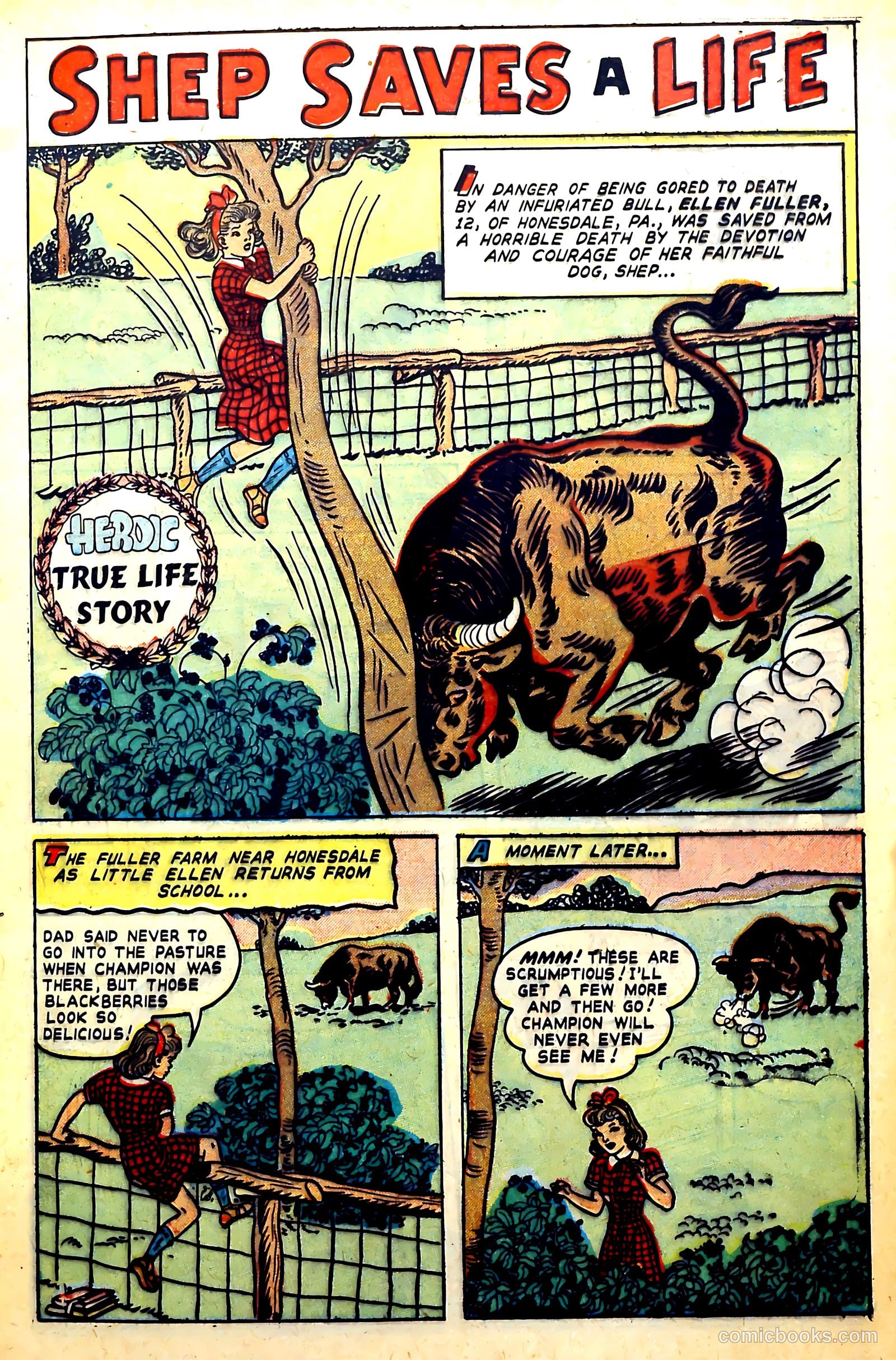 New Heroic Comics #61 — page 9 of 52