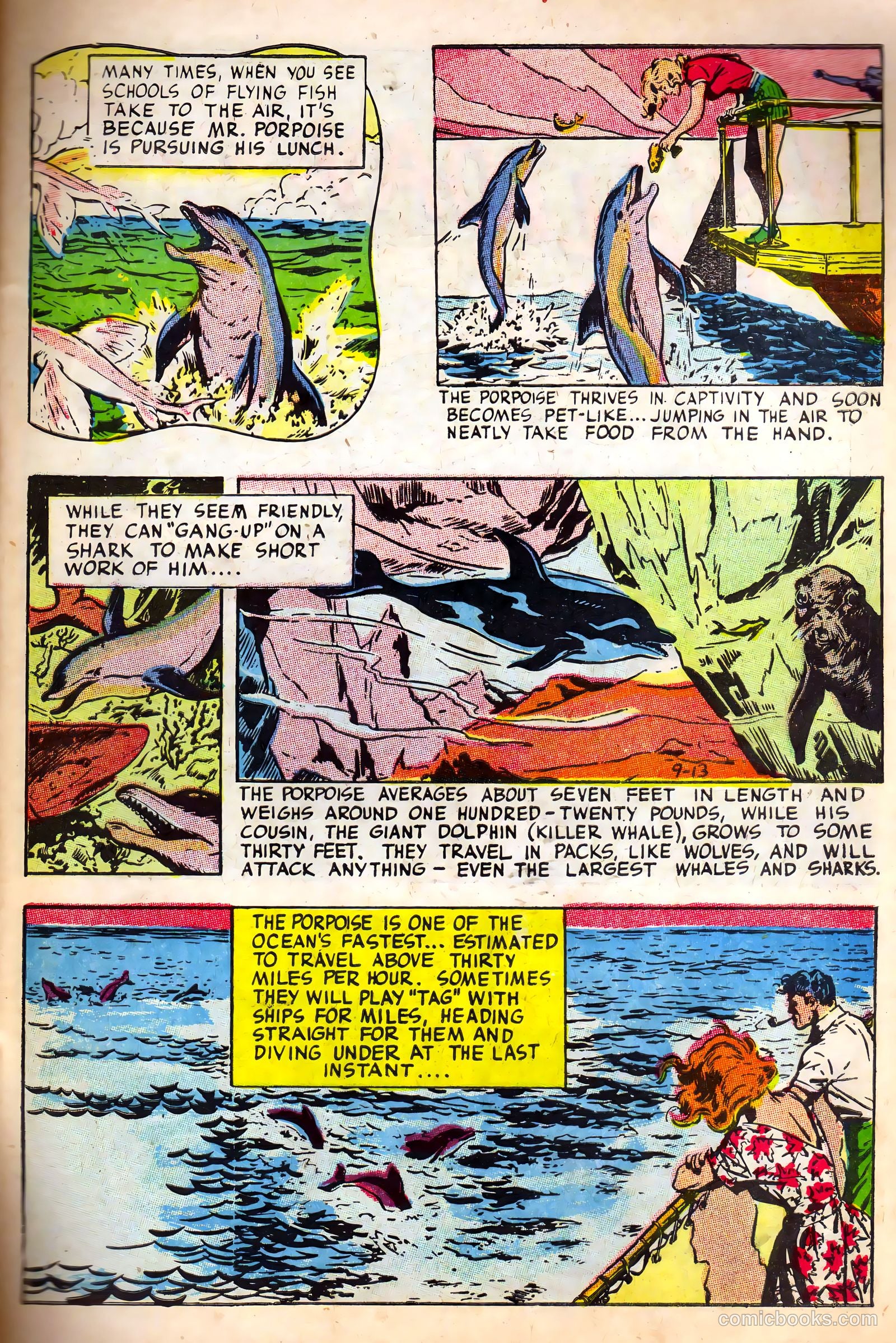 Nick Haliday #1 — page 27 of 38