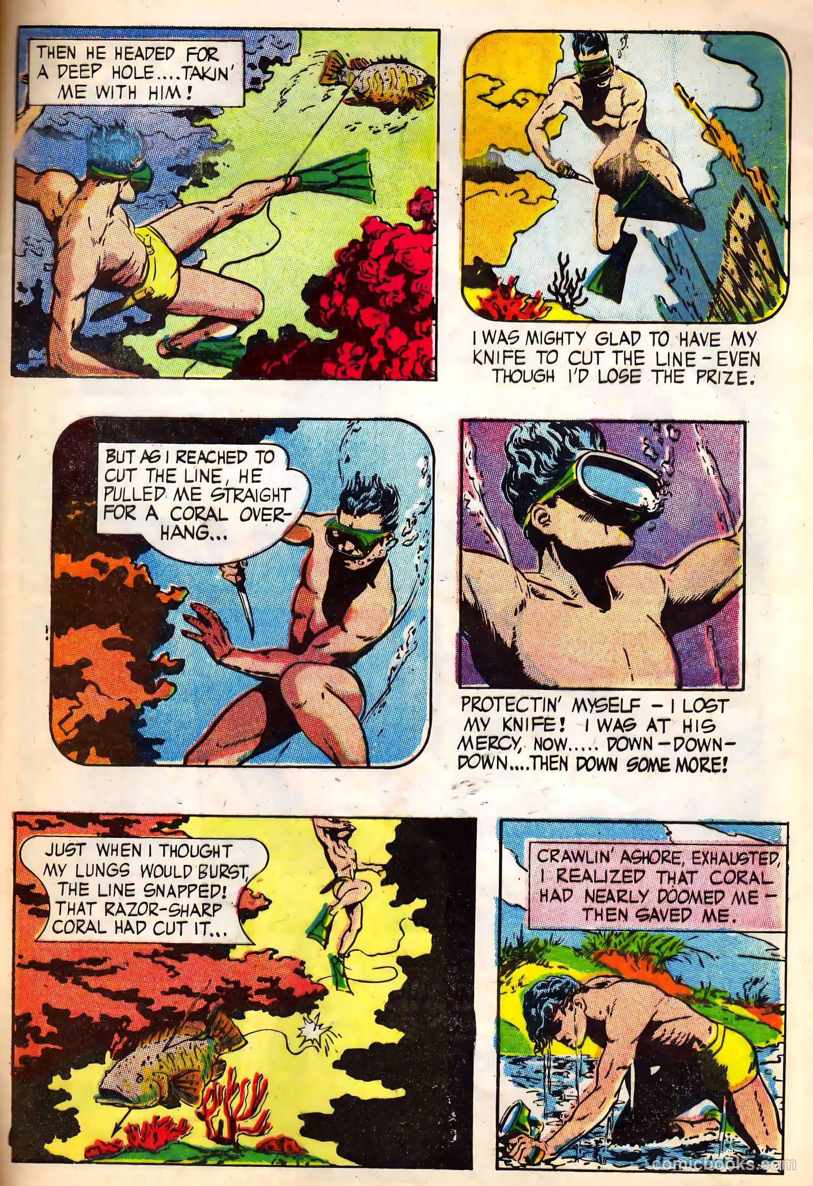 Nick Haliday #1 — page 32 of 38