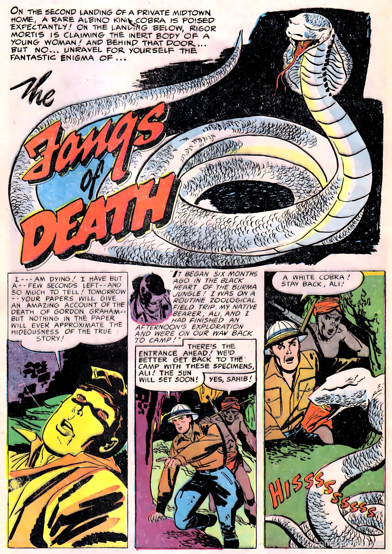 Nightmare #11 — page 28 of 36
