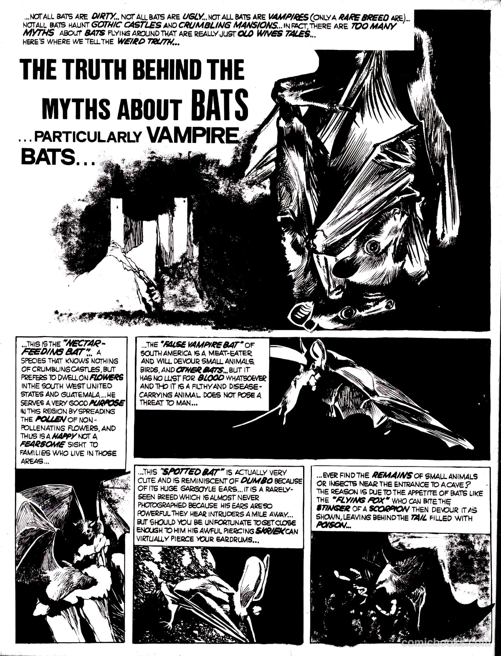 Nightmare #15 — page 19 of 65
